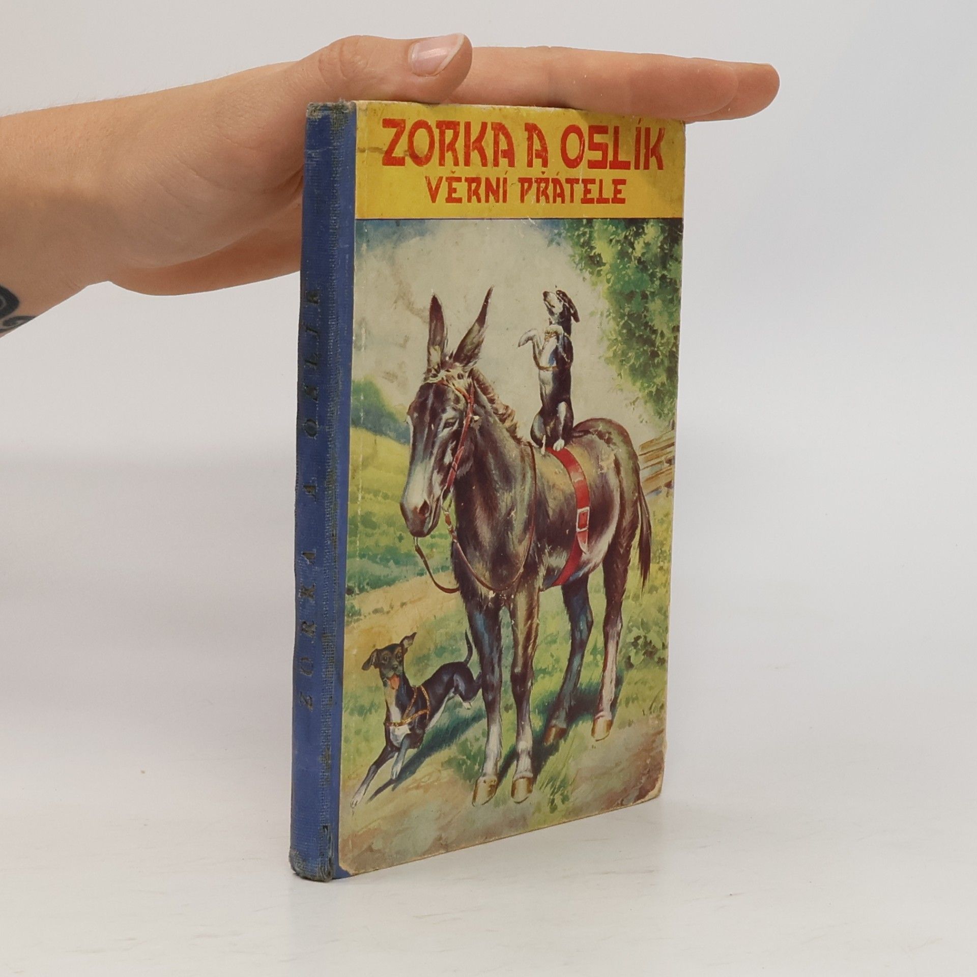 Autores varios Zorka a Oslík věrní přátelé