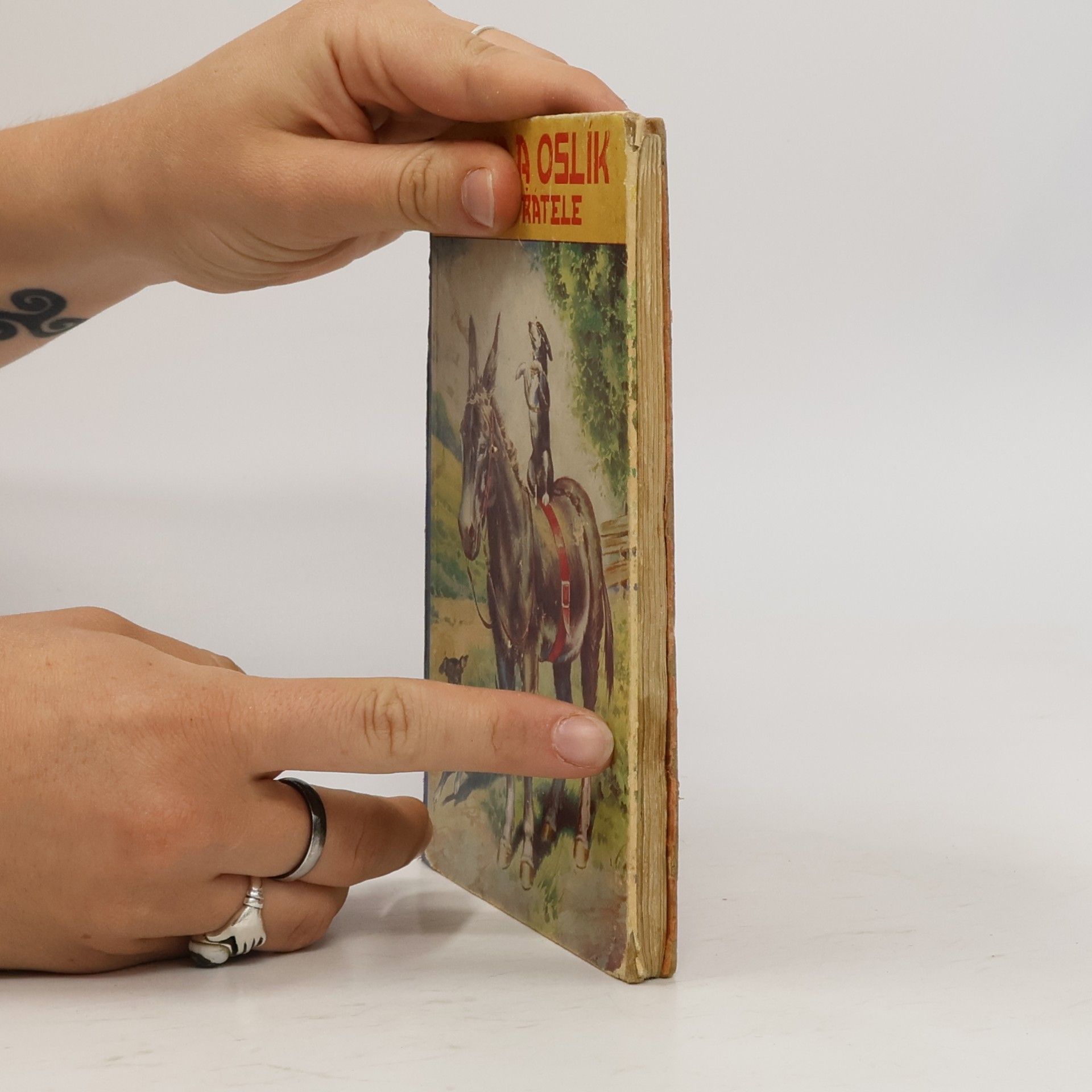Autores varios Zorka a Oslík věrní přátelé