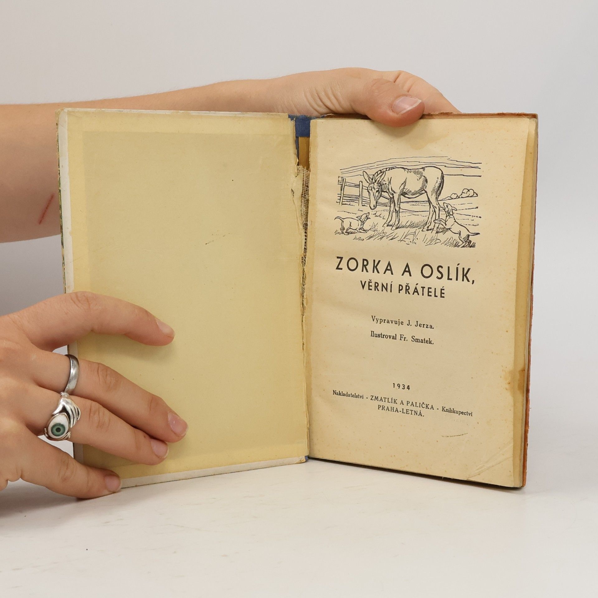 Autores varios Zorka a Oslík věrní přátelé