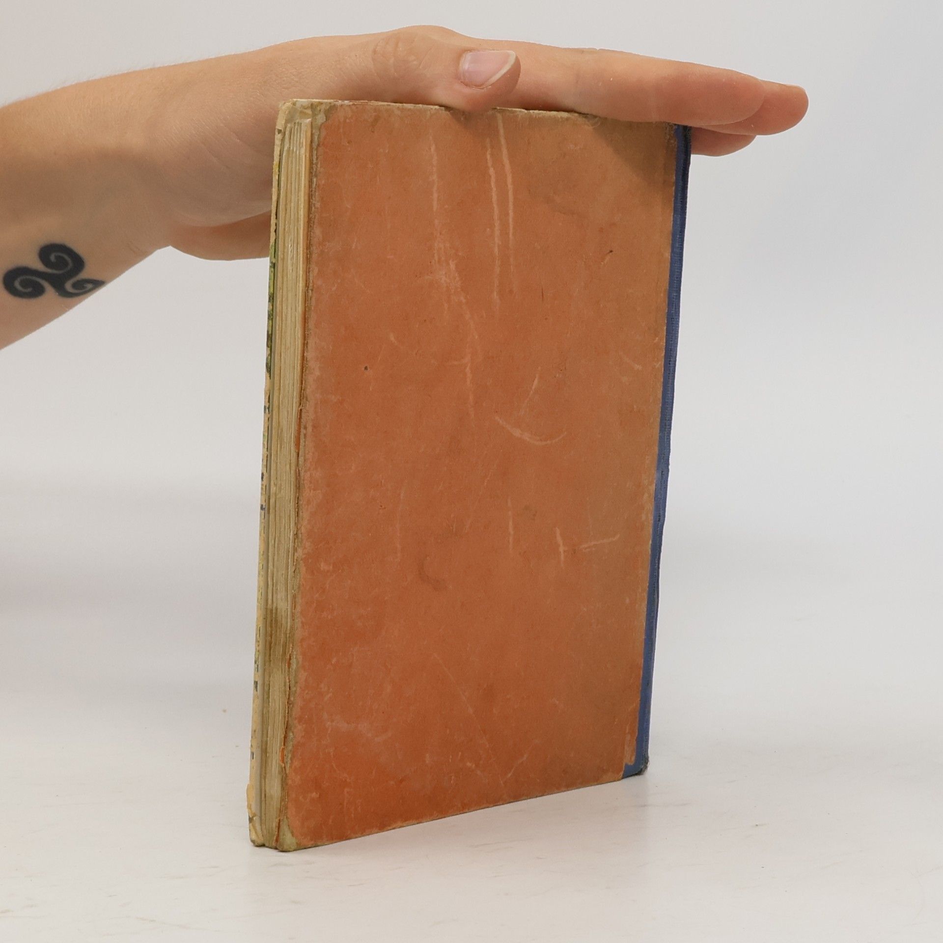 Autores varios Zorka a Oslík věrní přátelé