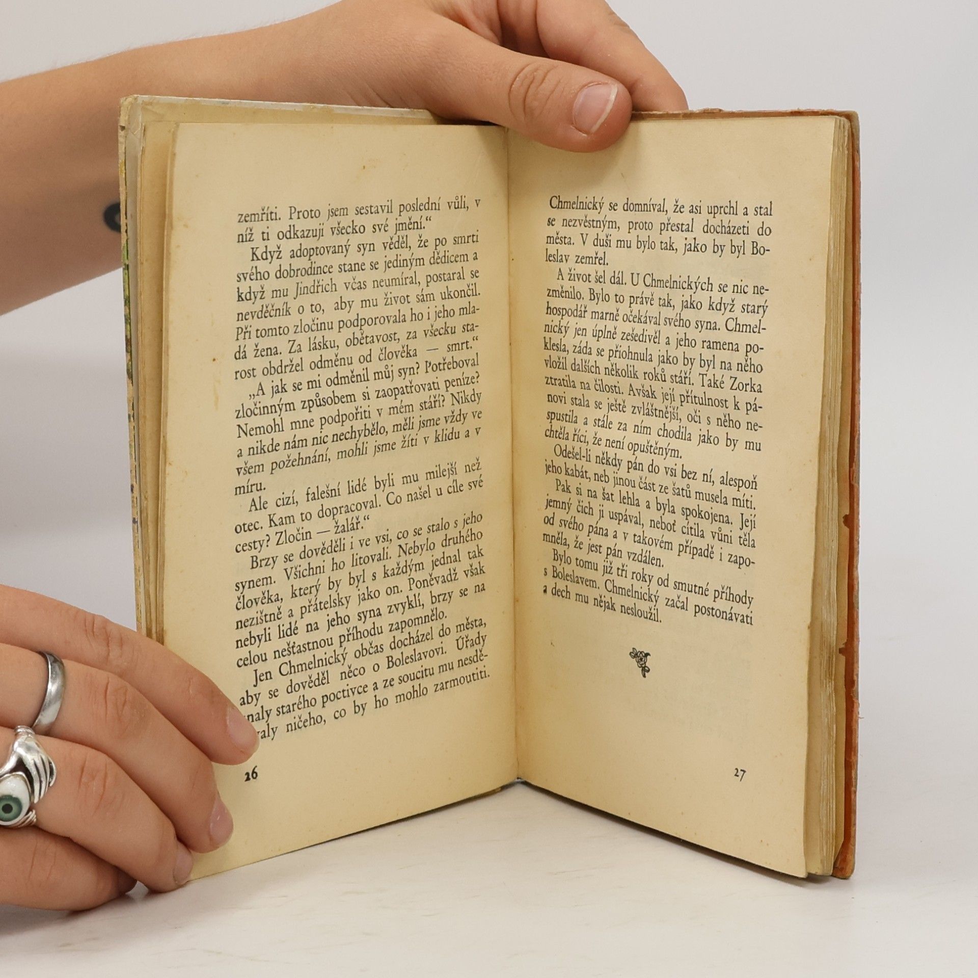 Autores varios Zorka a Oslík věrní přátelé