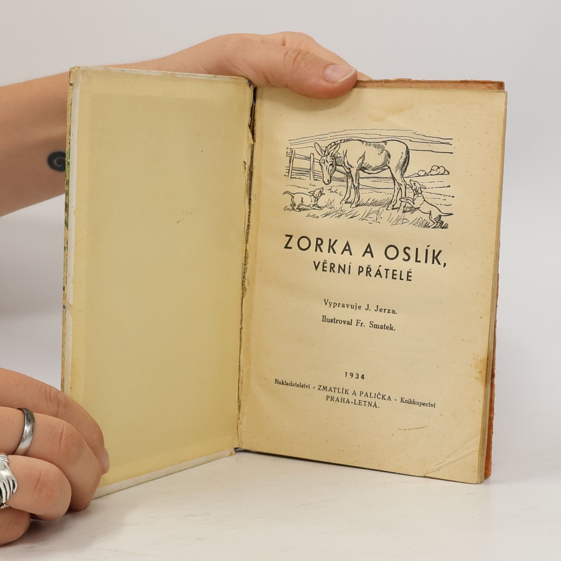 Autores varios Zorka a Oslík věrní přátelé