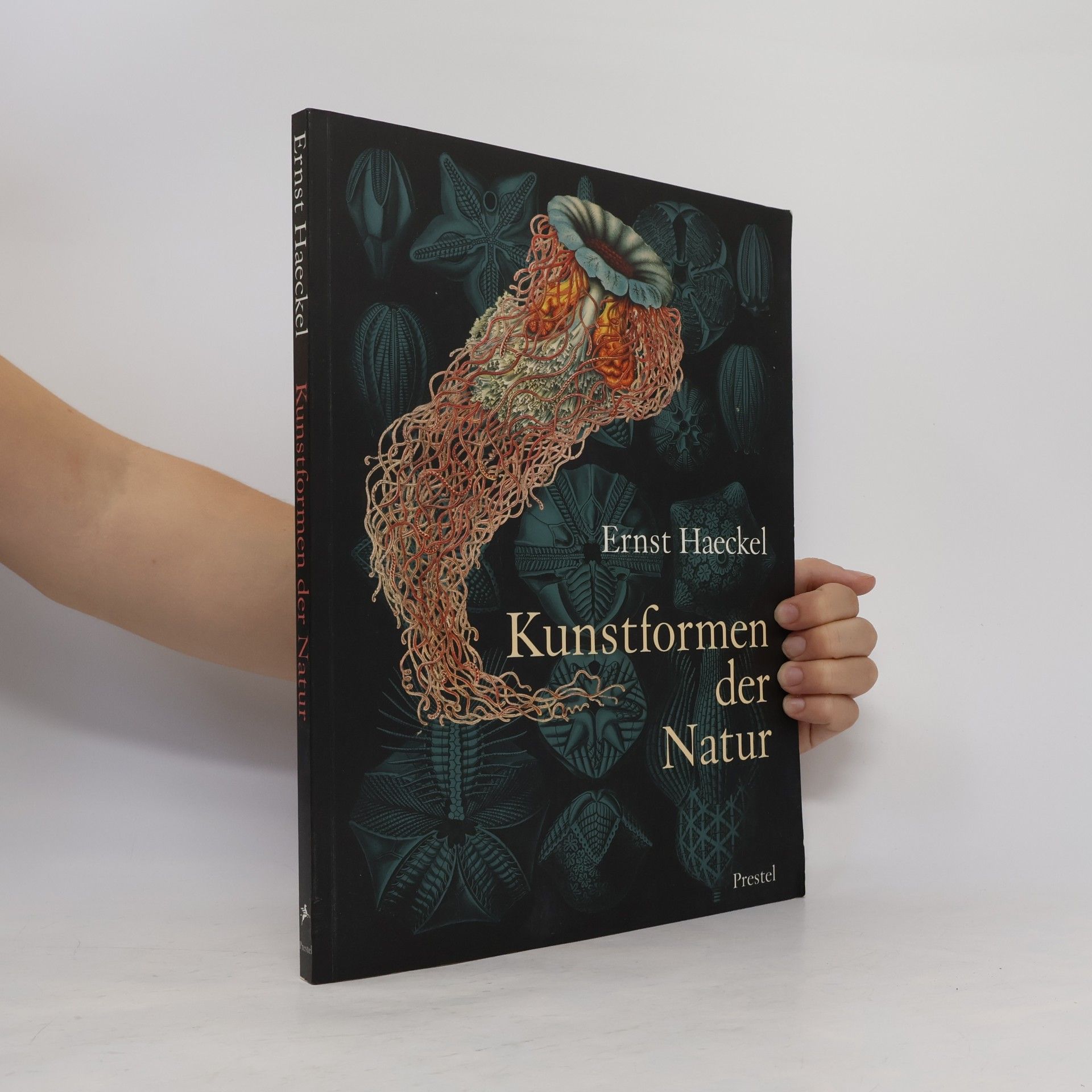 Ernst Haeckel Ernst Haeckel. Kunstformen der Natur
