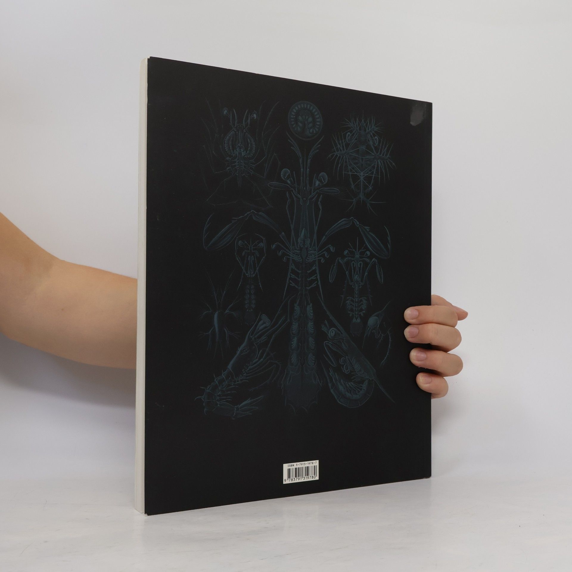 Ernst Haeckel Ernst Haeckel. Kunstformen der Natur