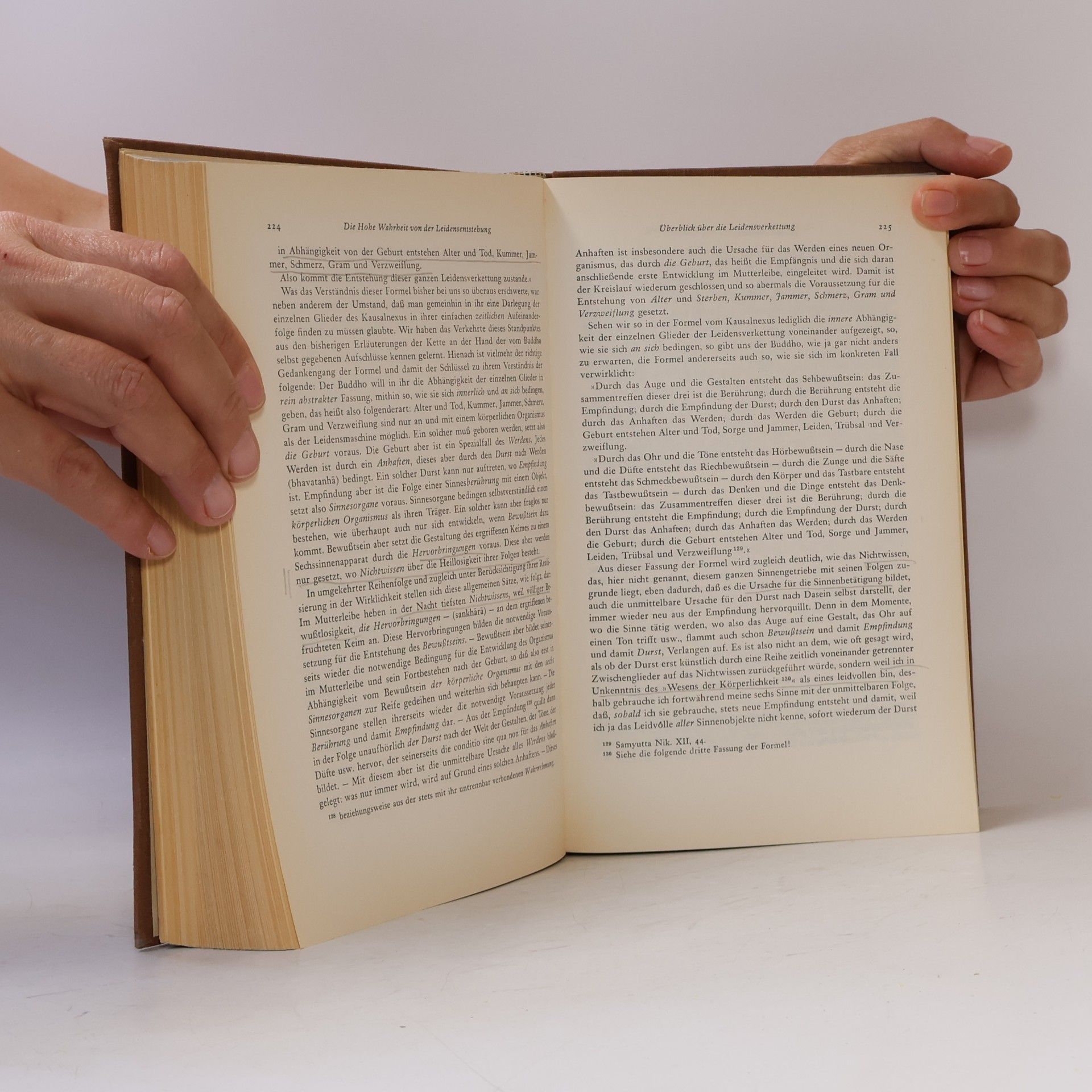 Georg Grimm Die Lehre des Buddho