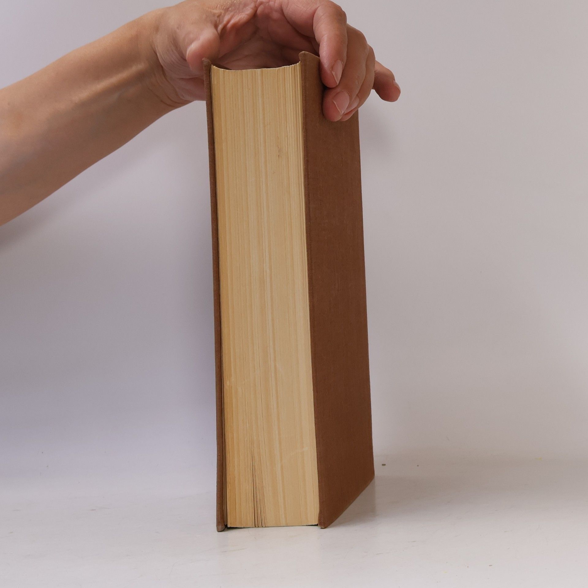 Georg Grimm Die Lehre des Buddho