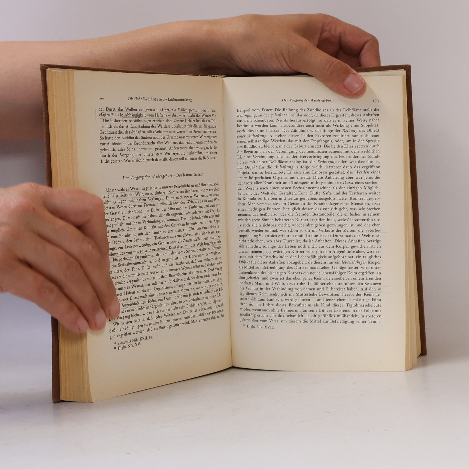 Georg Grimm Die Lehre des Buddho