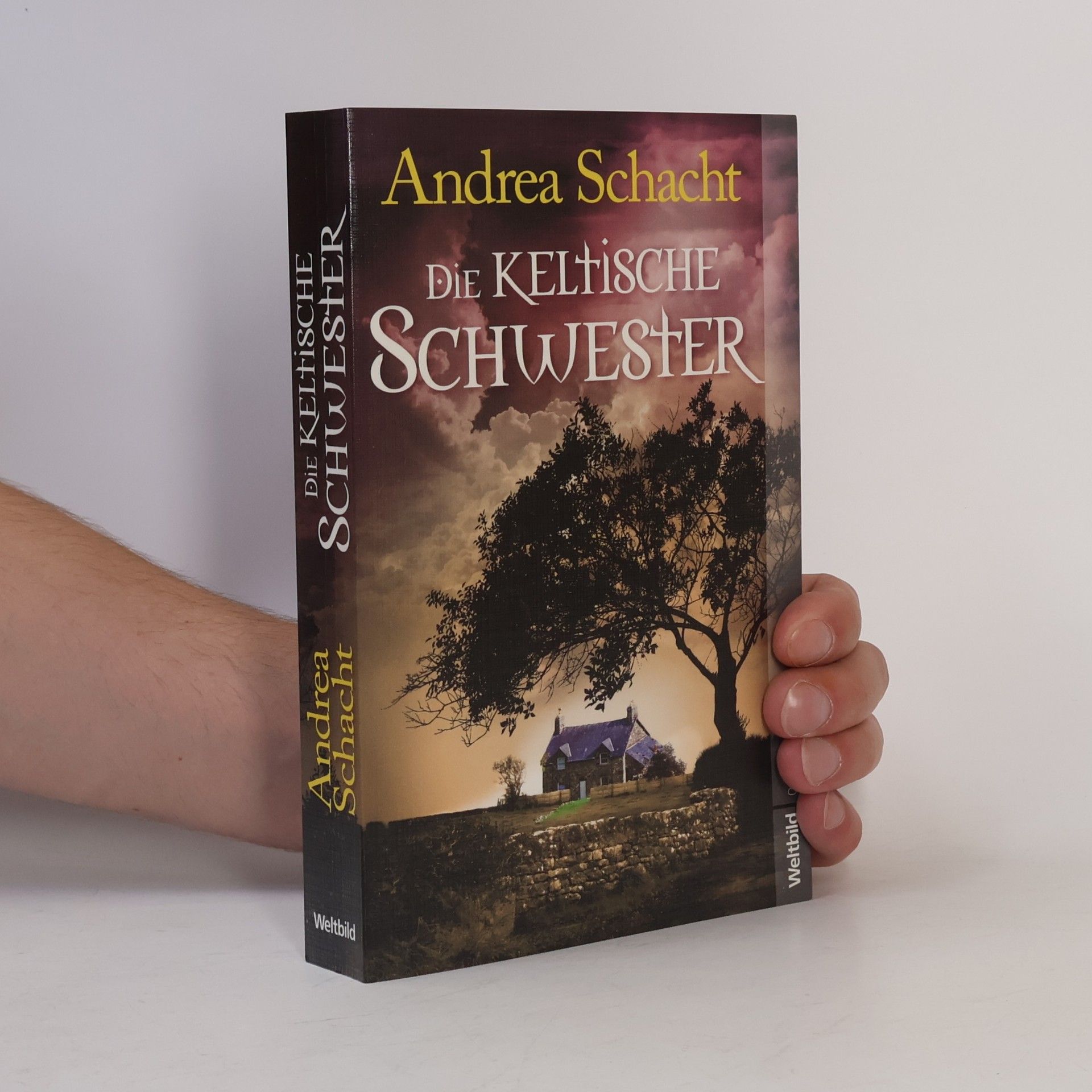 Andrea Schacht Die keltische Schwester