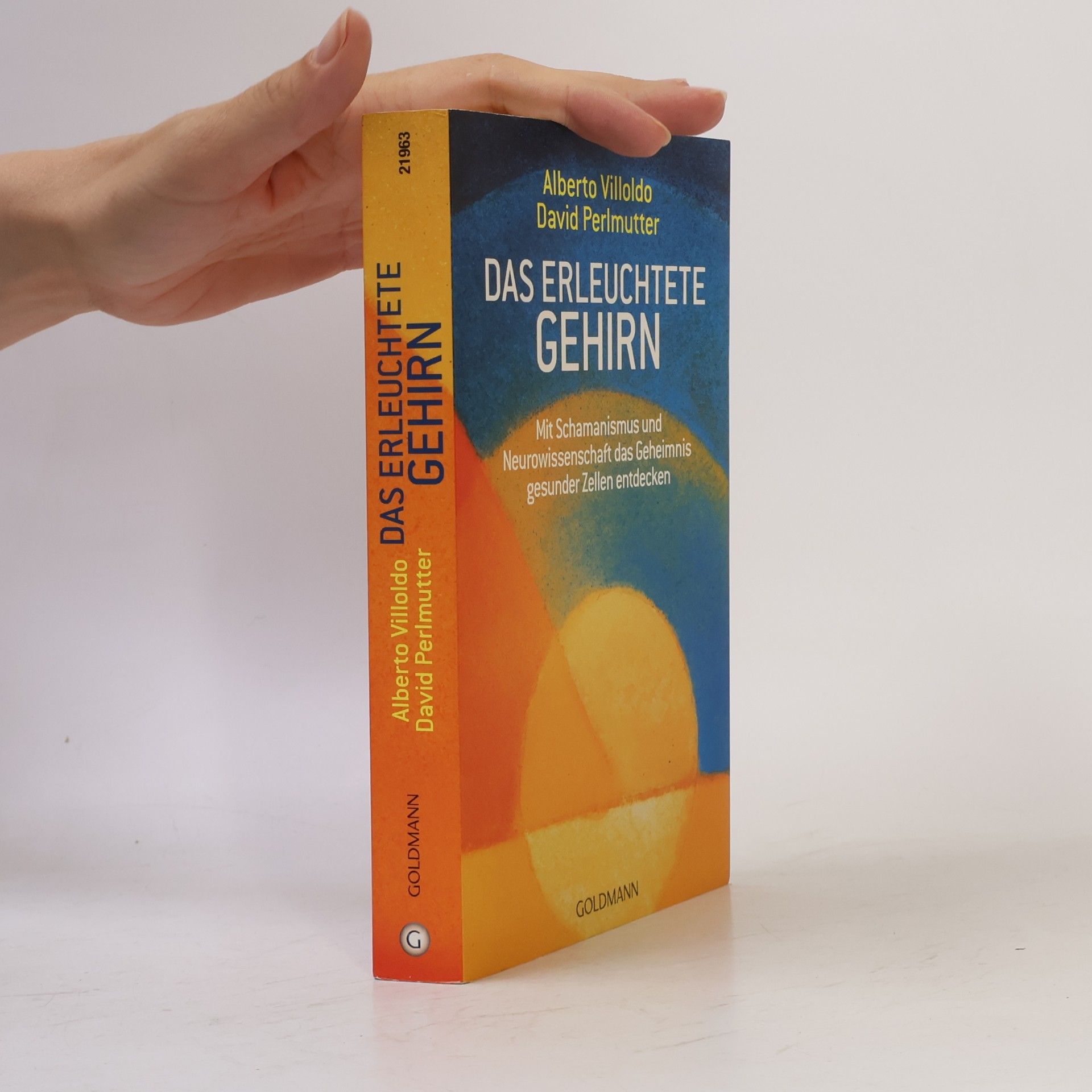 Das erleuchtete Gehirn