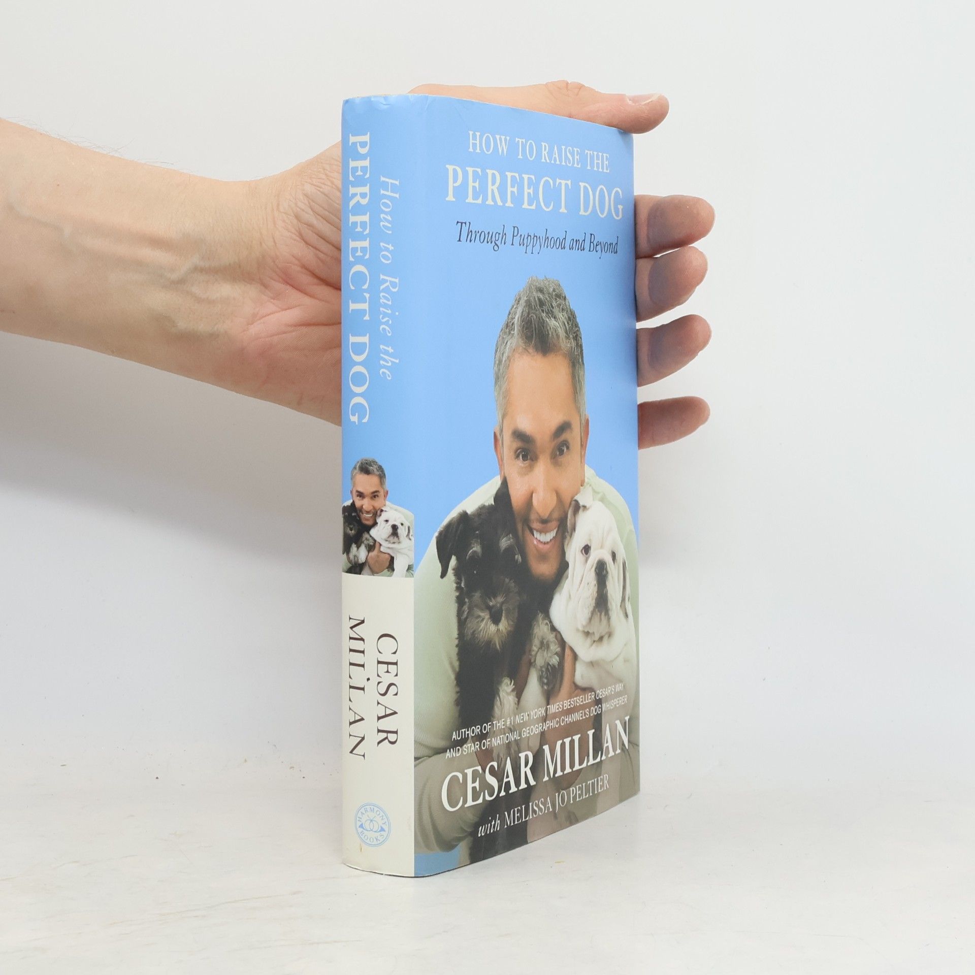Melissa Jo Peltier How to Raise the Perfect Dog