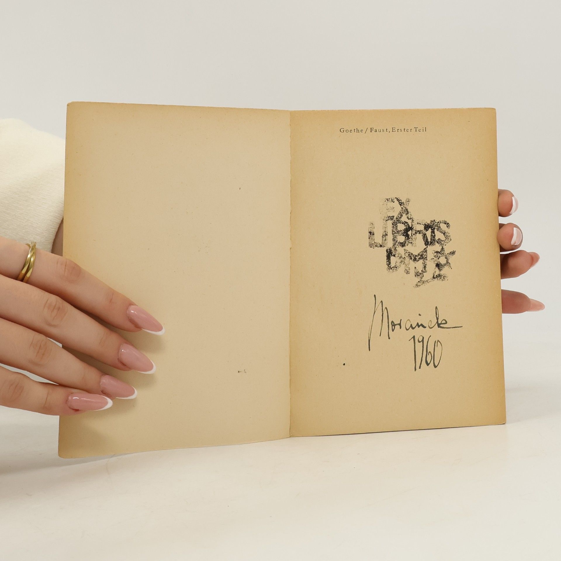 Johann Wolfgang von Goethe Faust 1