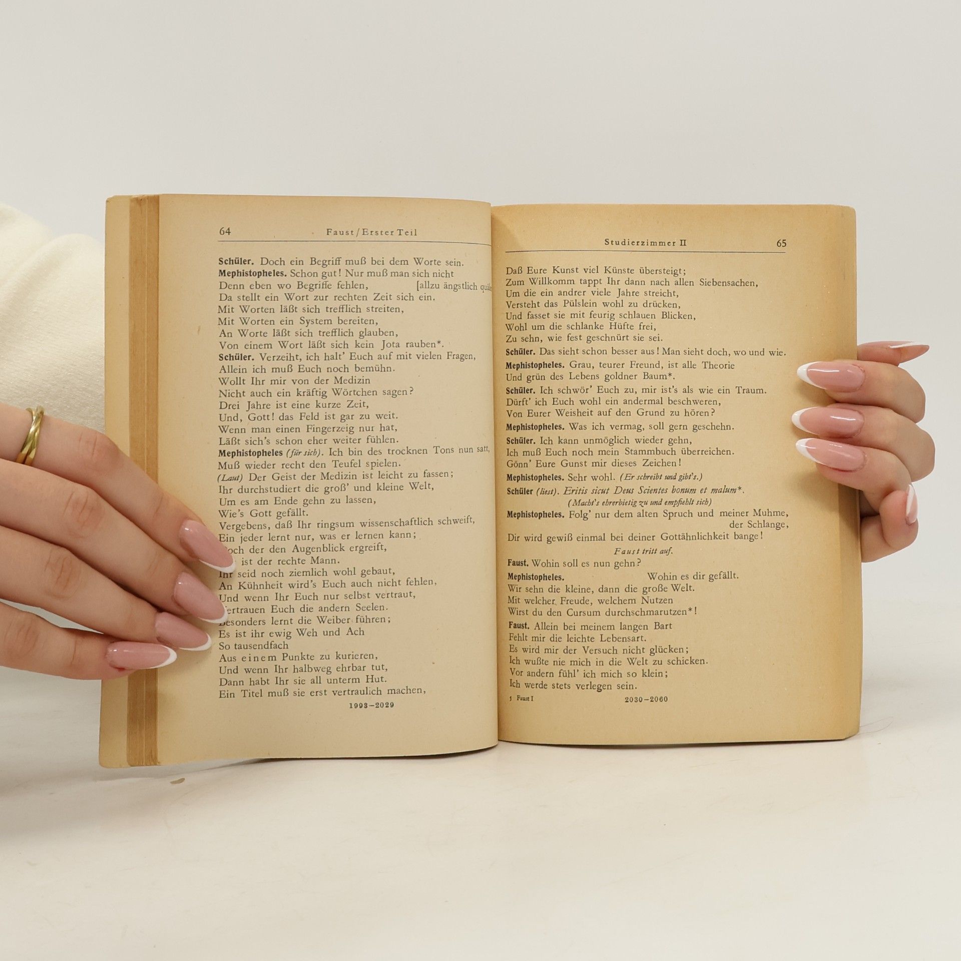 Johann Wolfgang von Goethe Faust 1