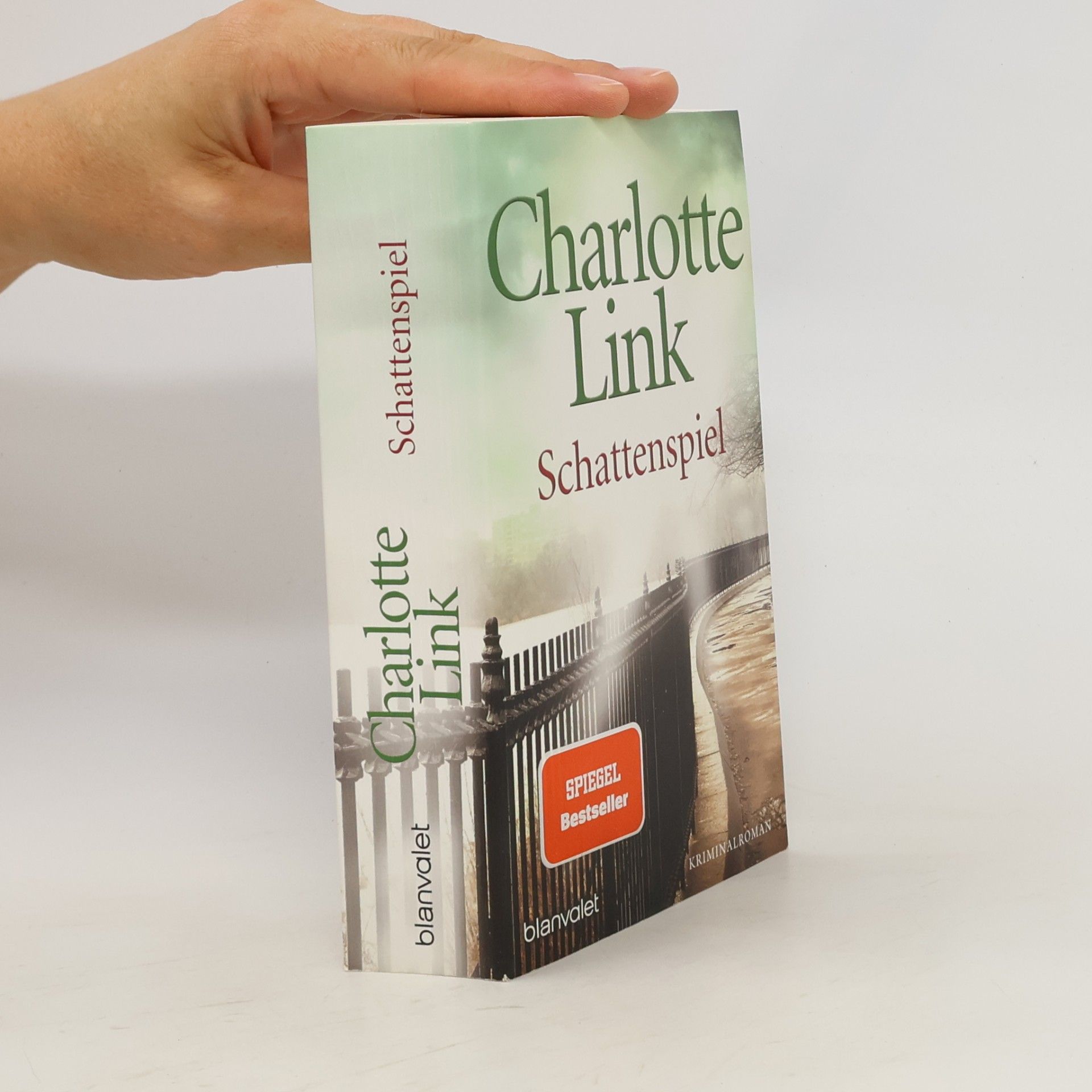 Charlotte Link Schattenspiel