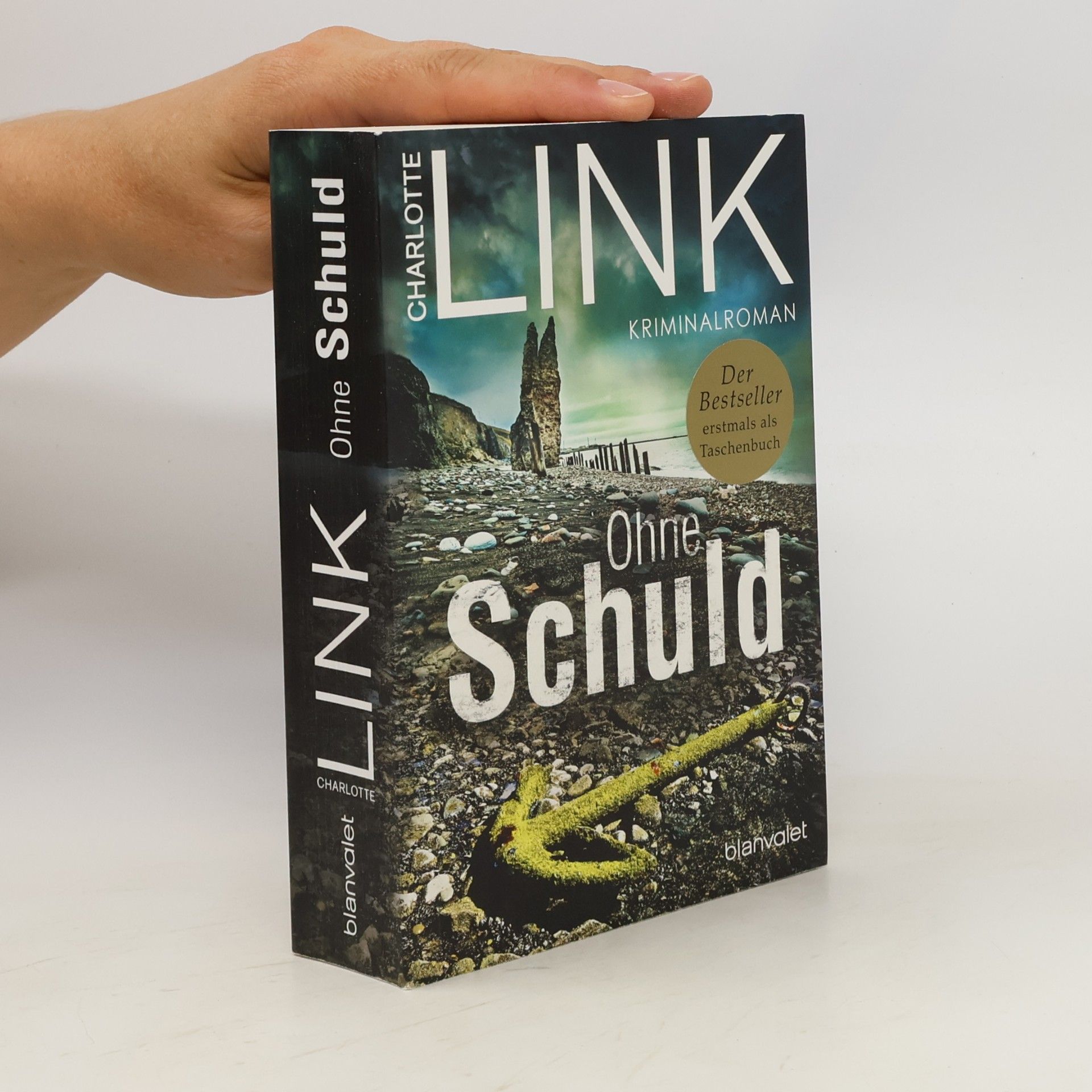 Charlotte Link Ohne Schuld
