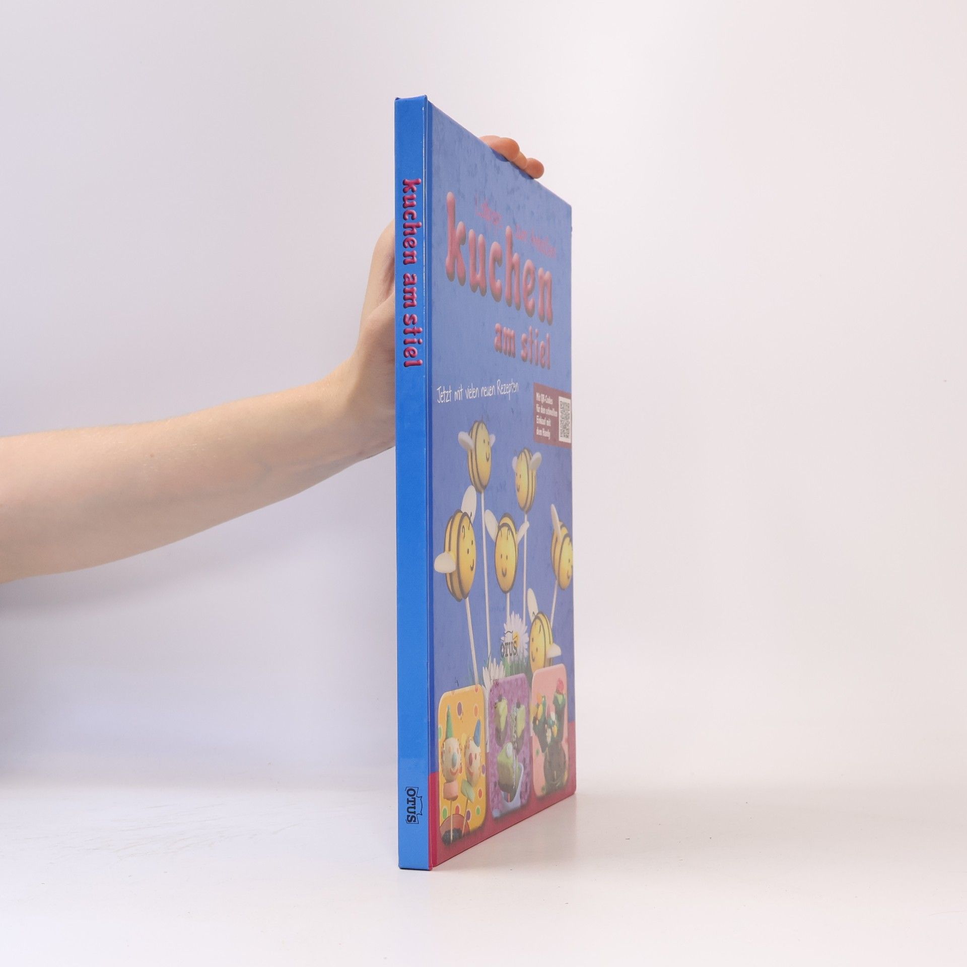 Autorenkollektiv Kuchen am Stiel