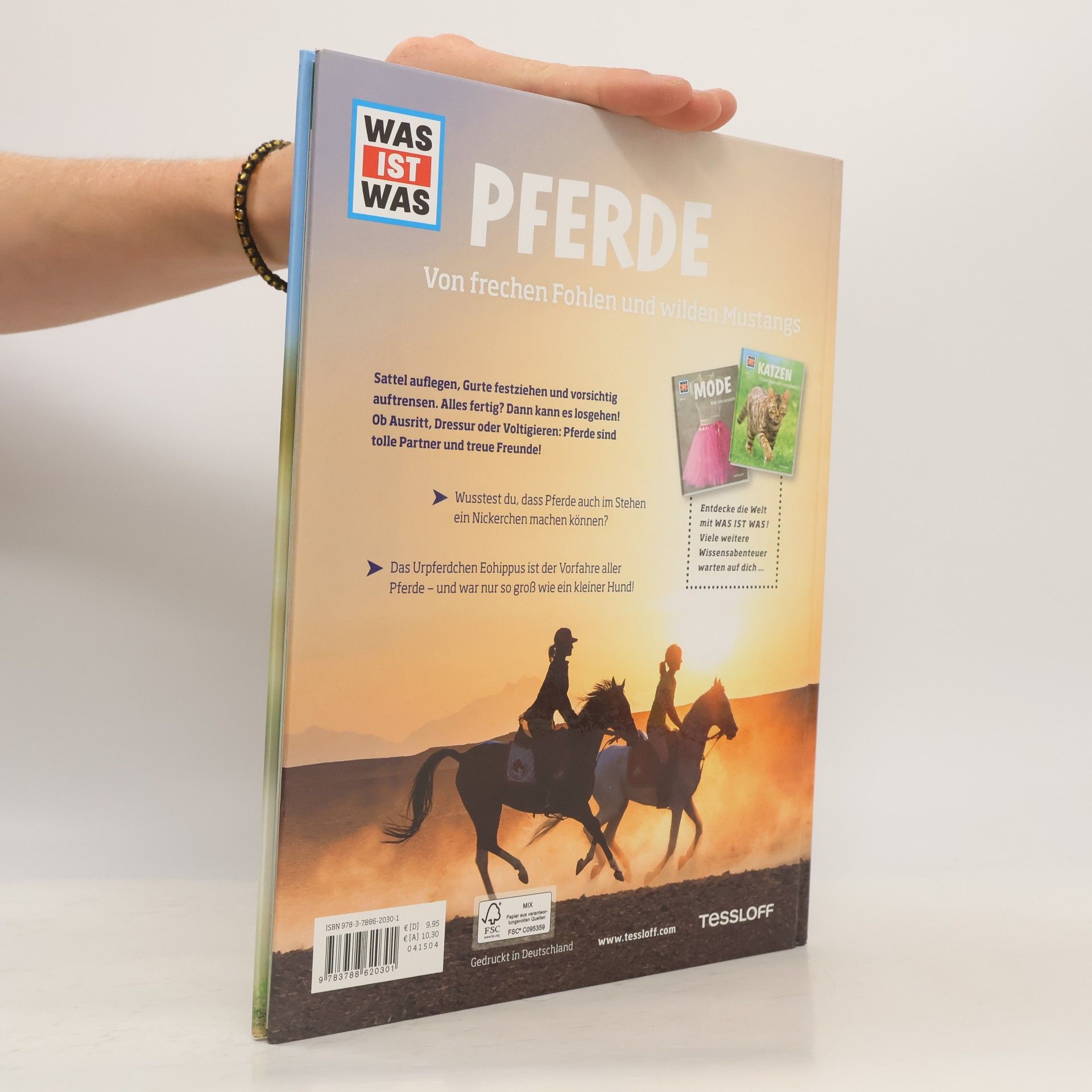 Silke Behling Pferde. Von frechen Fohlen und wilden Mustangs.