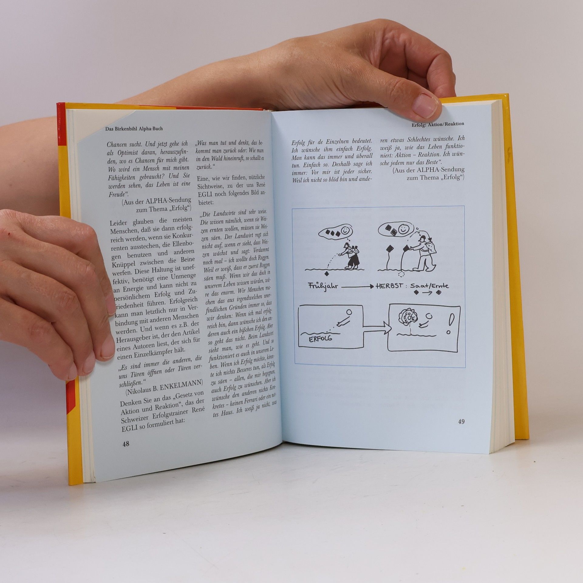 Vera Birkenbihl Das Birkenbihl-Alpha-Buch