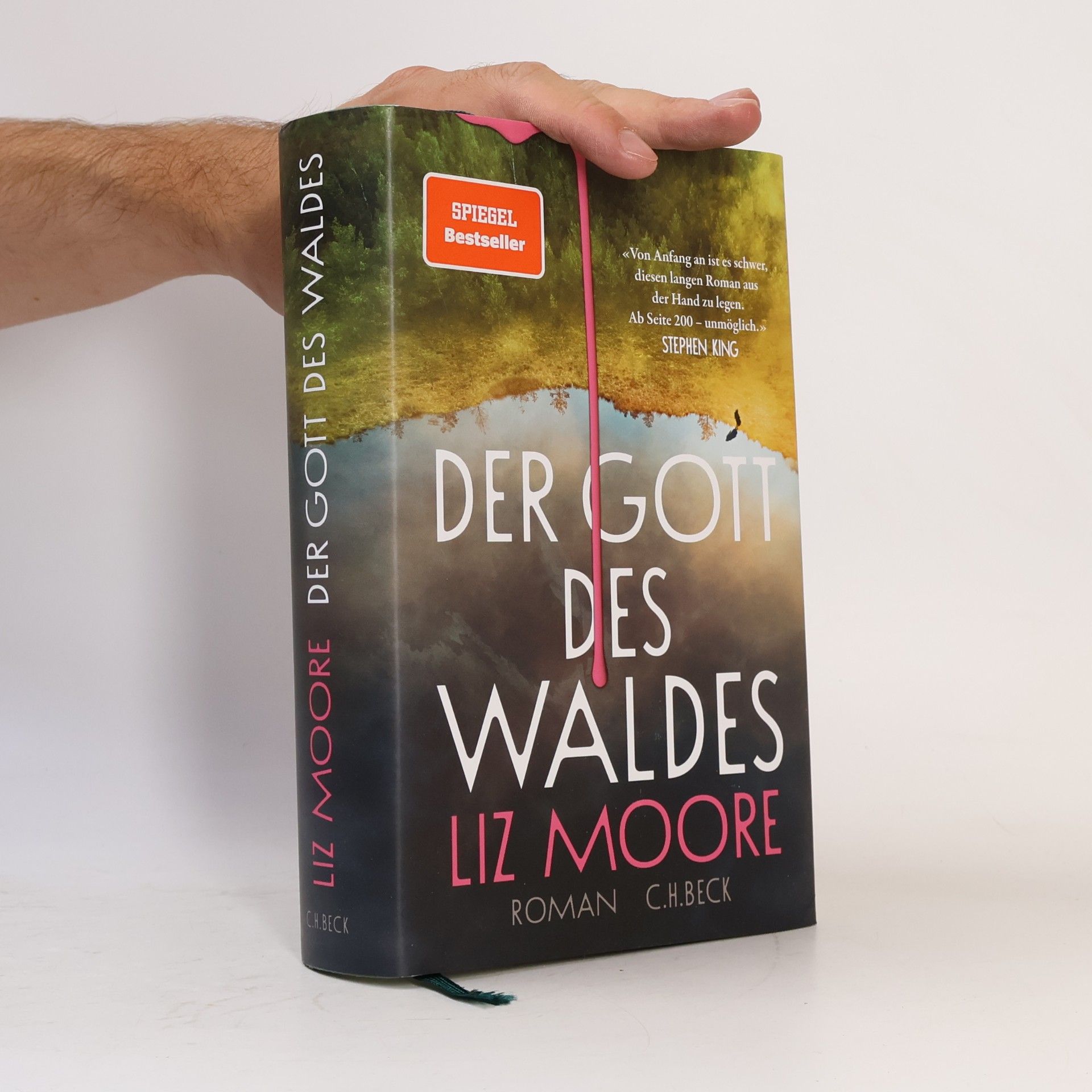 Liz Moore Der Gott des Waldes