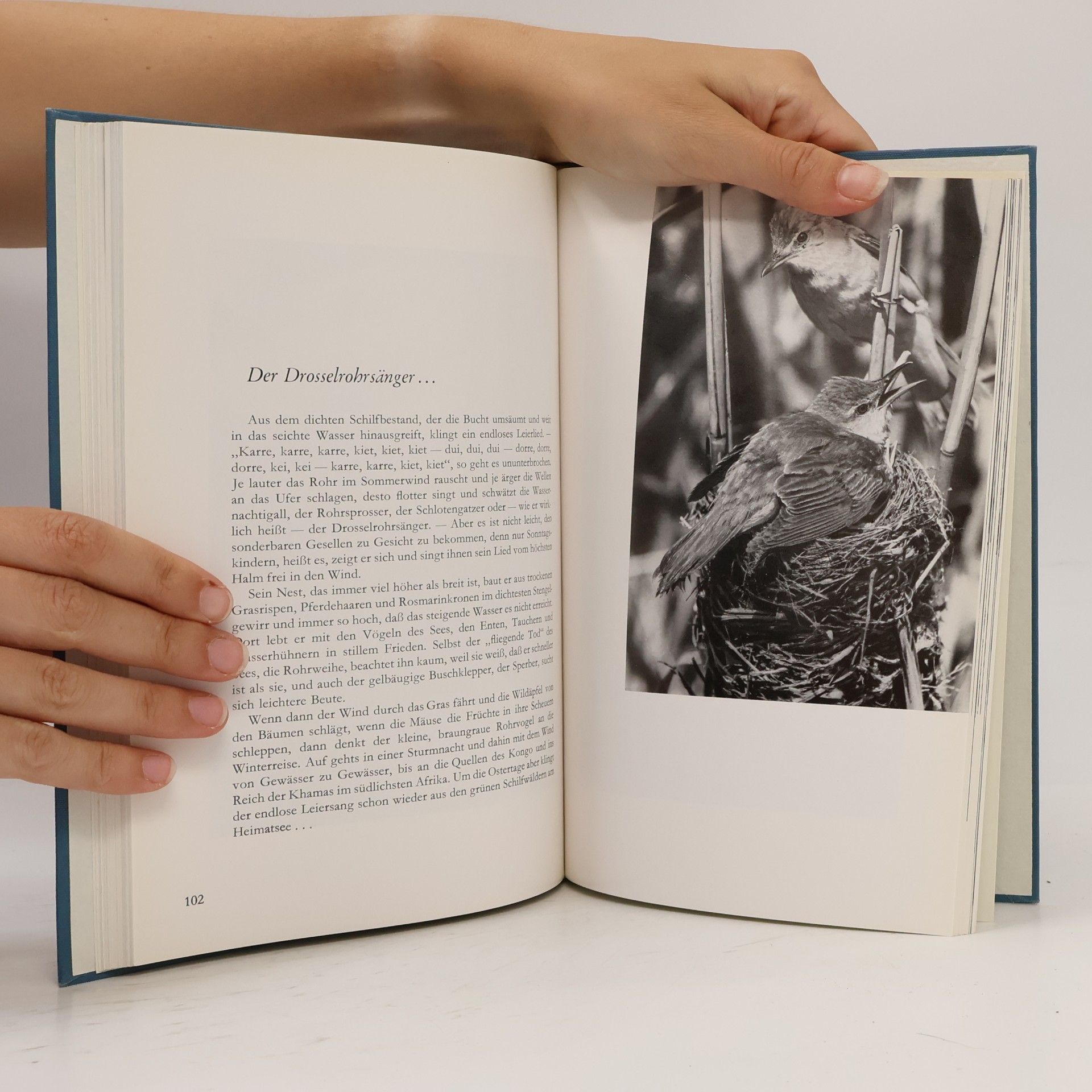 Rudolf Hartlieb Das Buch vom See