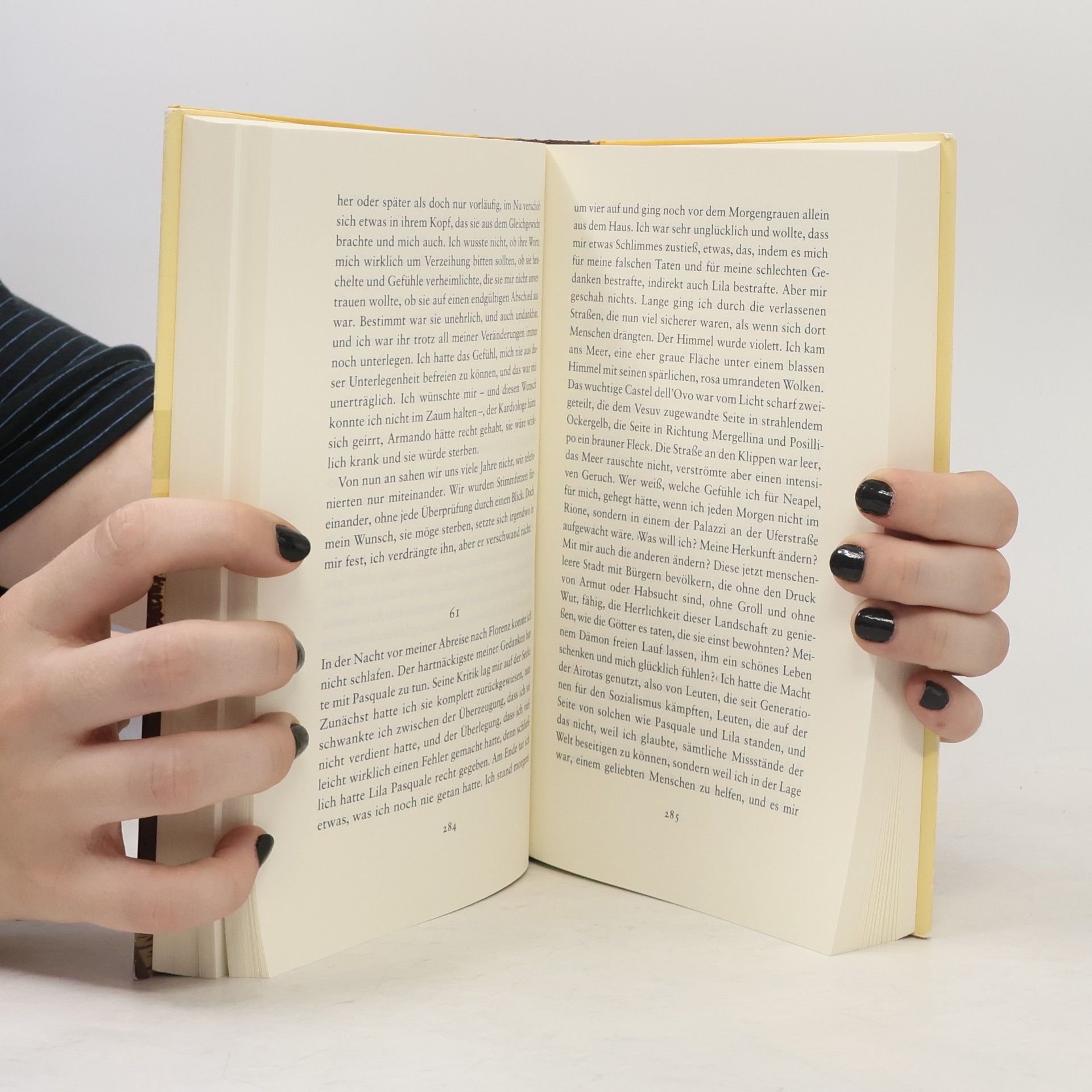 Elena Ferrante Die Geschichte Der Getrennten Wege : Erwachsenenjahre (Band III)
