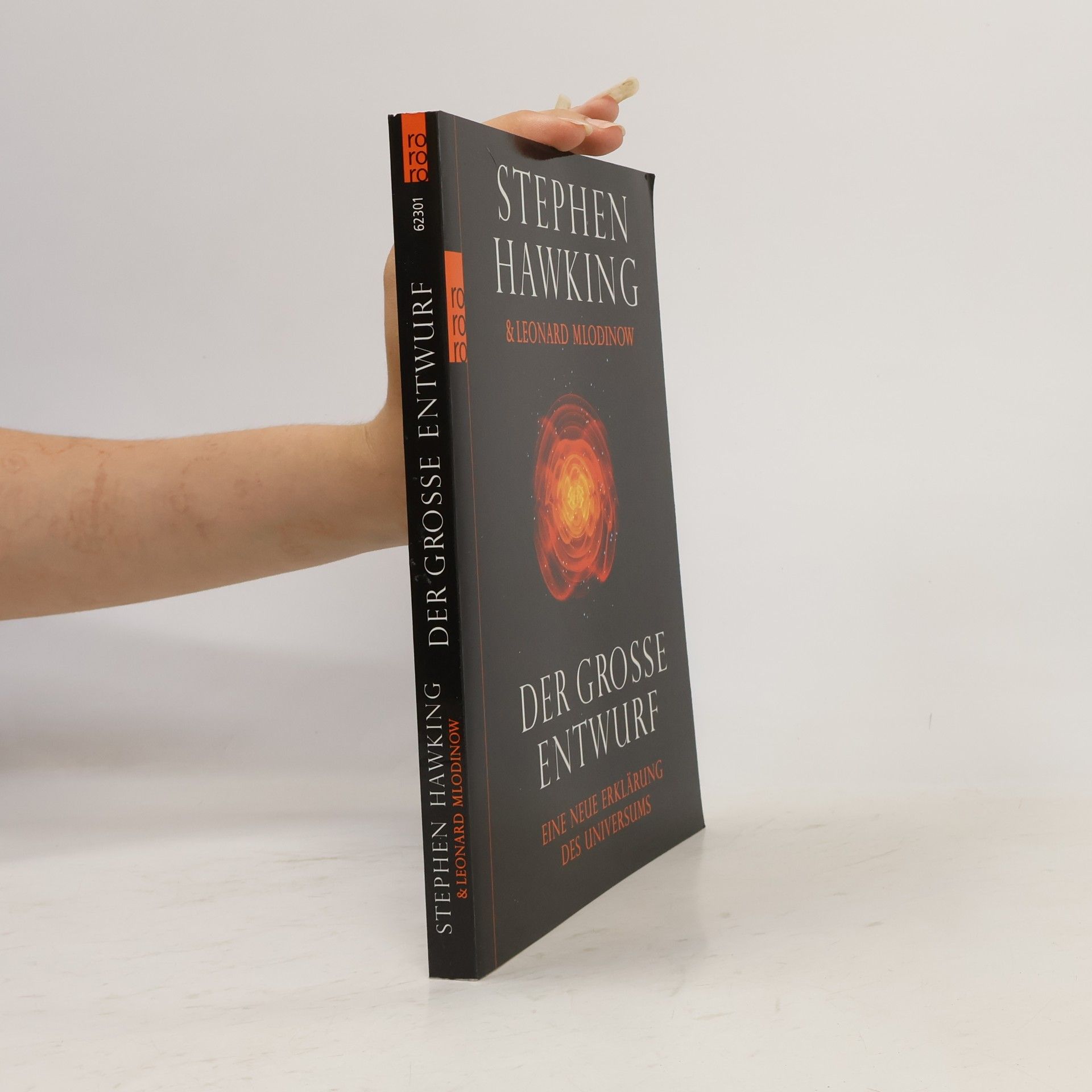 Stephen Hawking Der grosse Entwurf