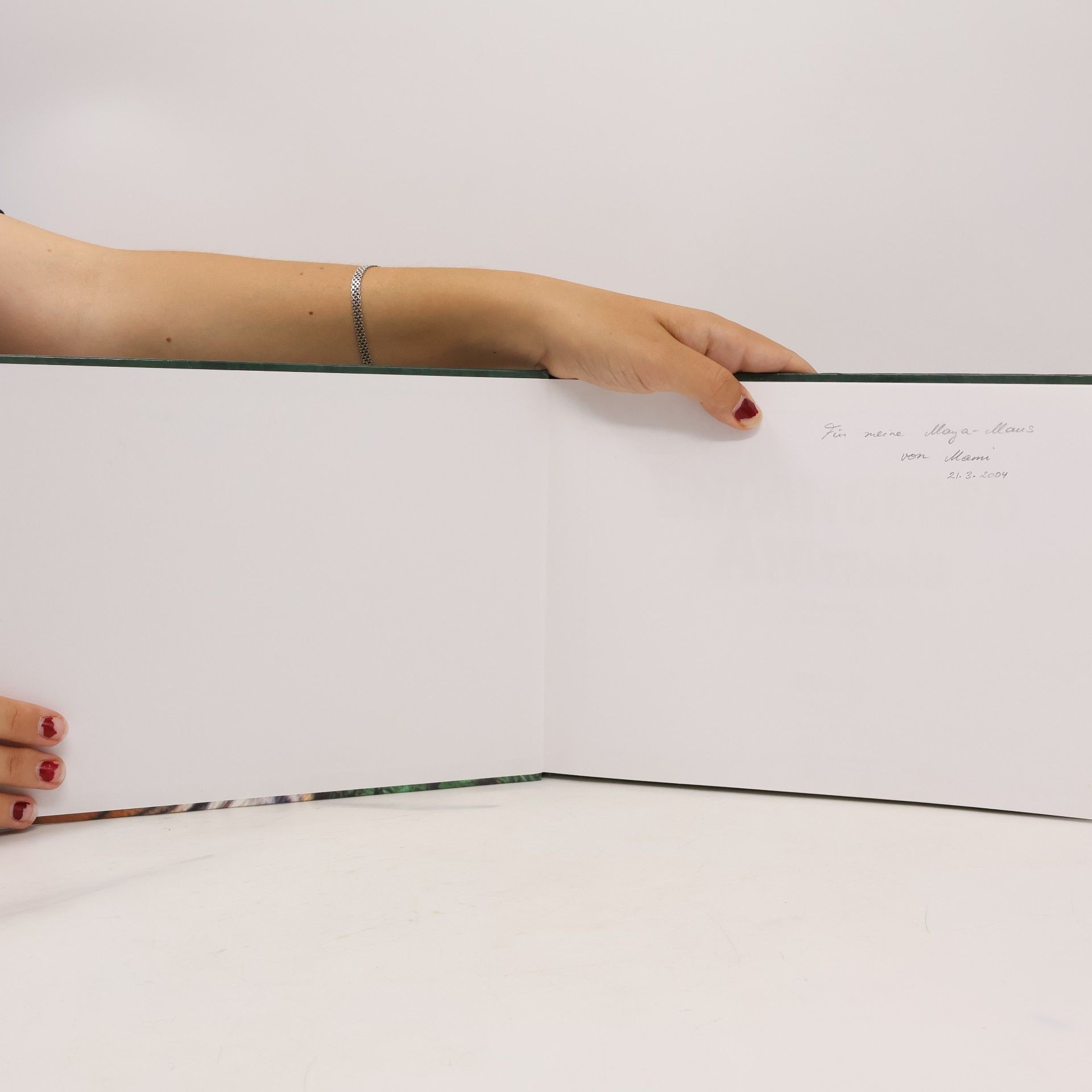 Auteurscollectief How to Draw Endangered Animals