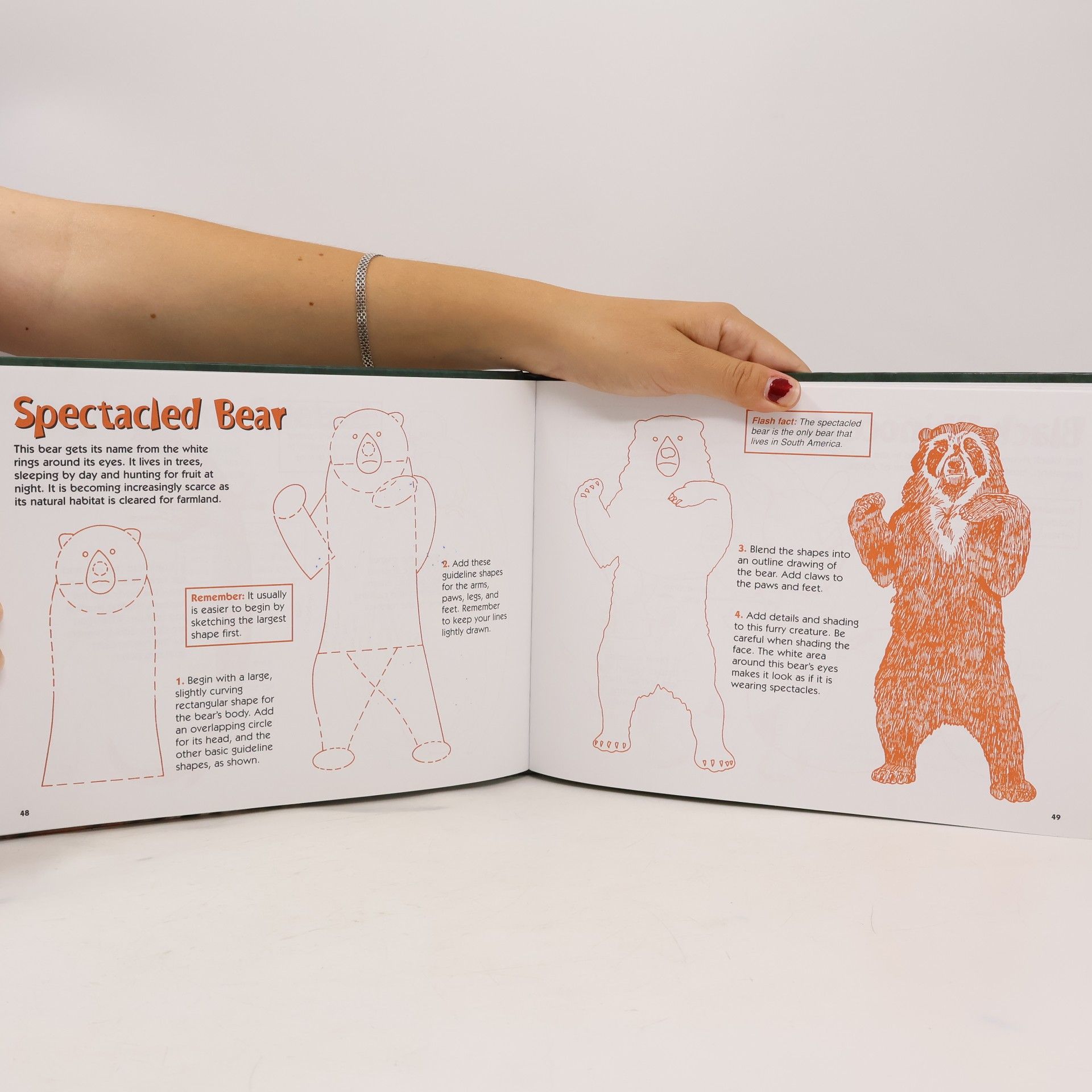 Auteurscollectief How to Draw Endangered Animals