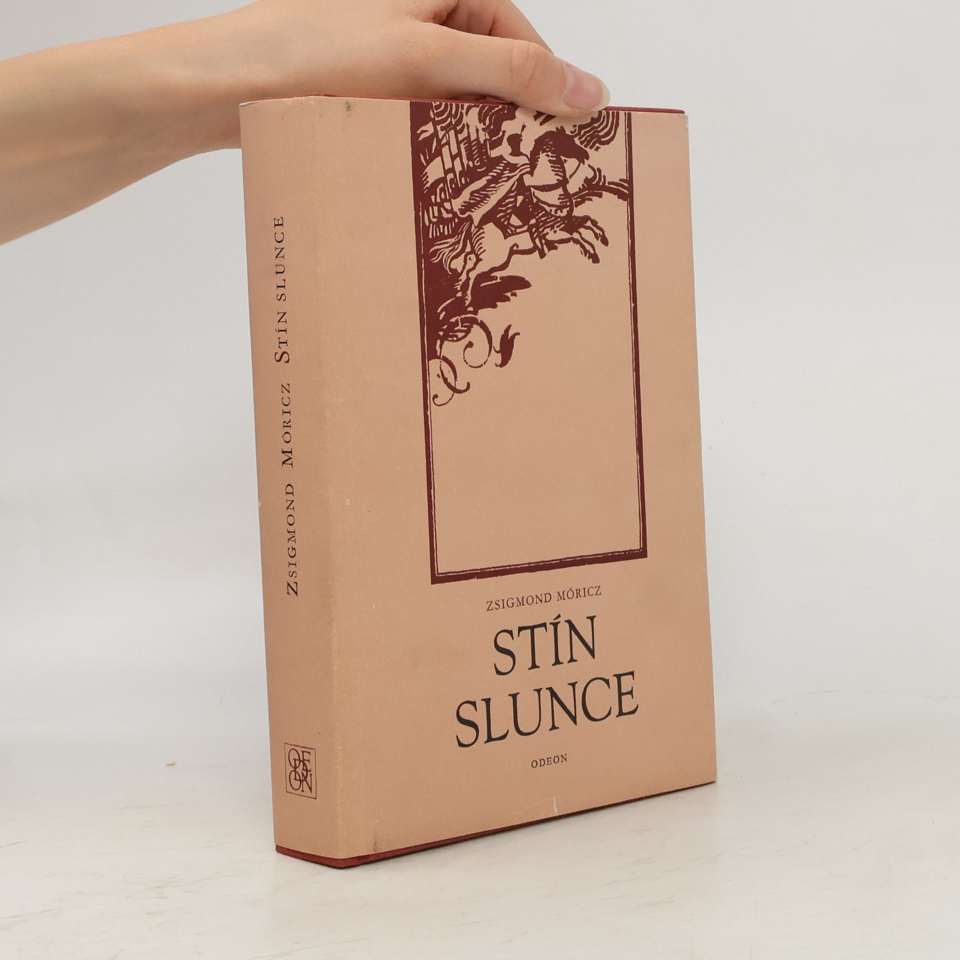 Anna Valentová Stín slunce