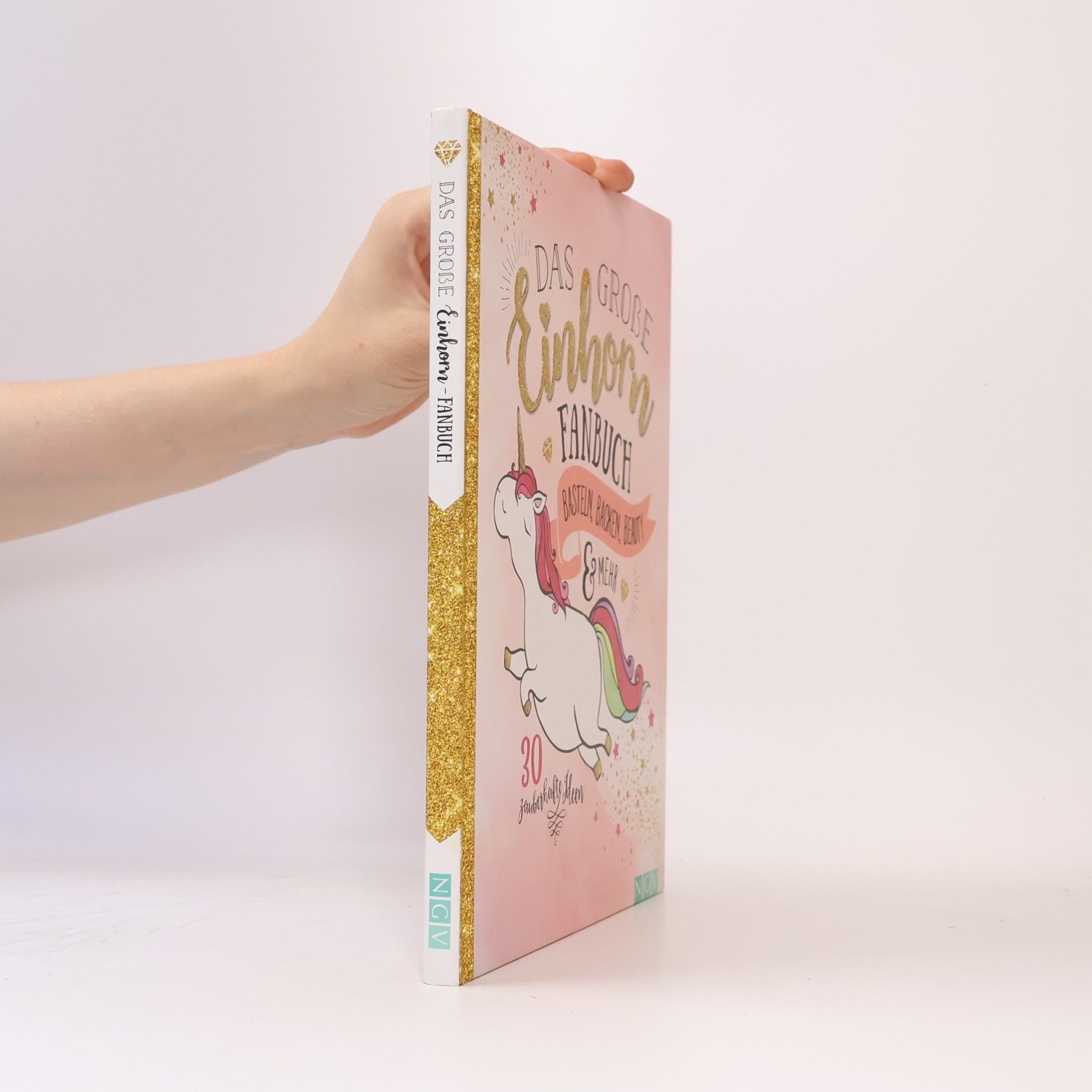 Auteurscollectief Das Große Einhorn Fanbuch