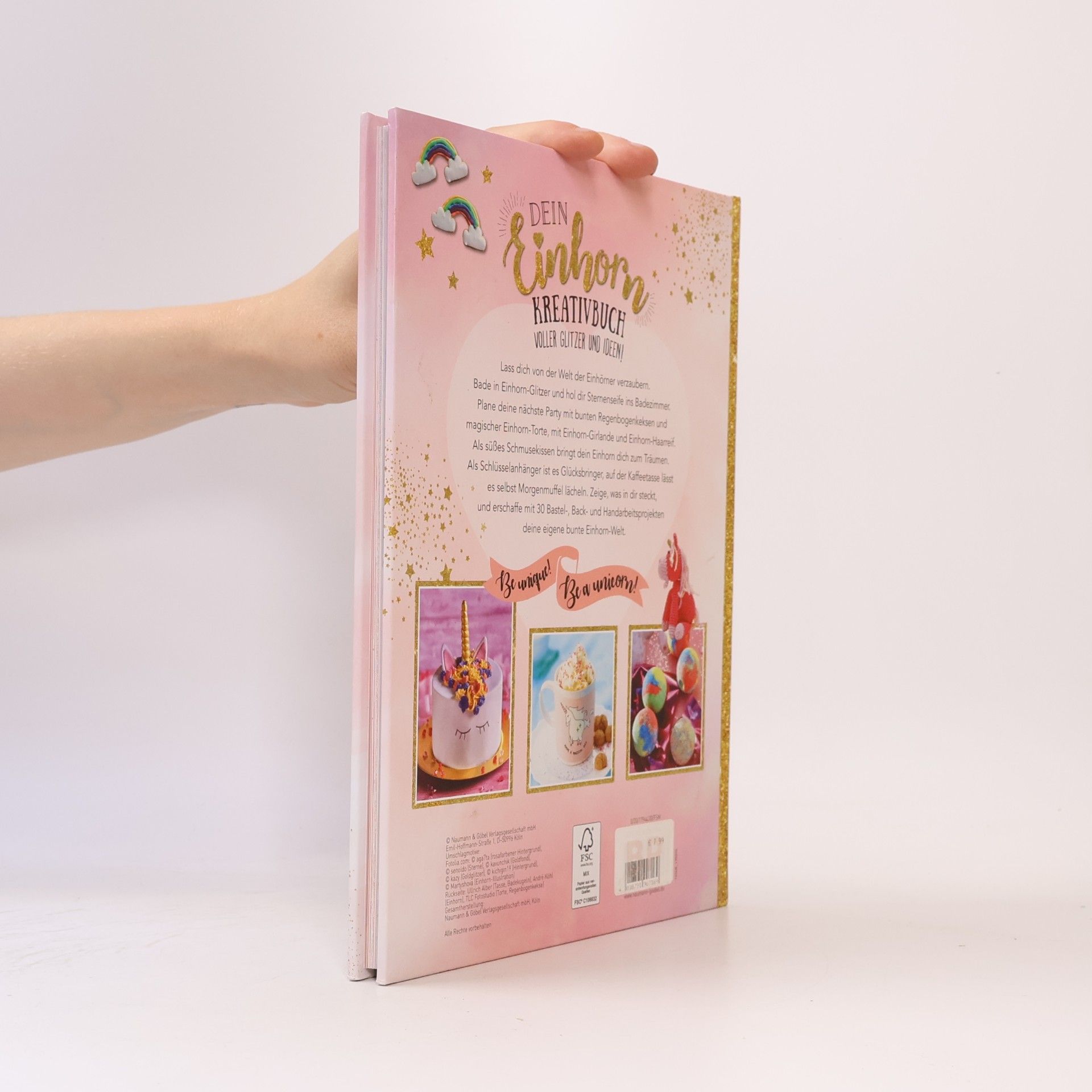 Auteurscollectief Das Große Einhorn Fanbuch