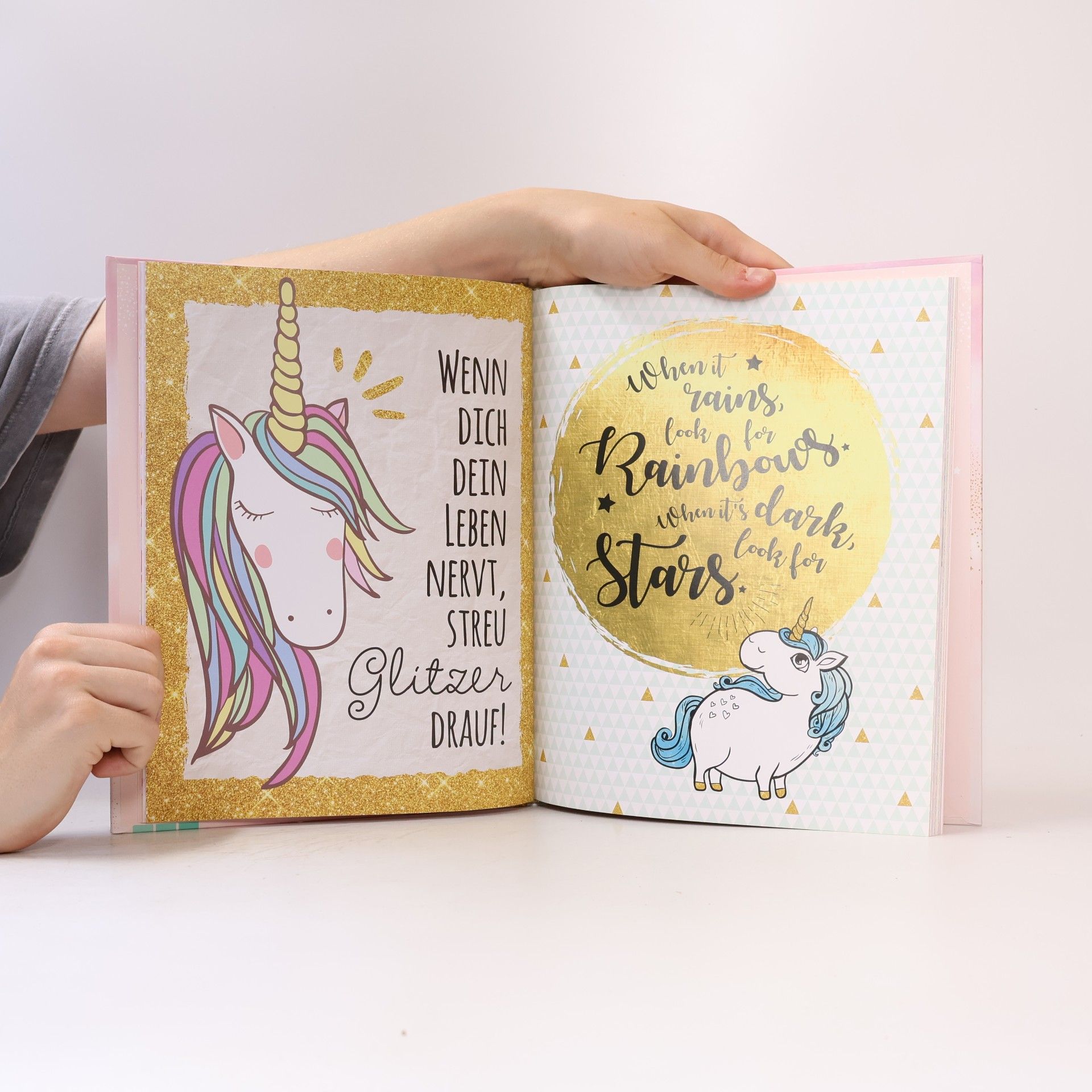 Auteurscollectief Das Große Einhorn Fanbuch