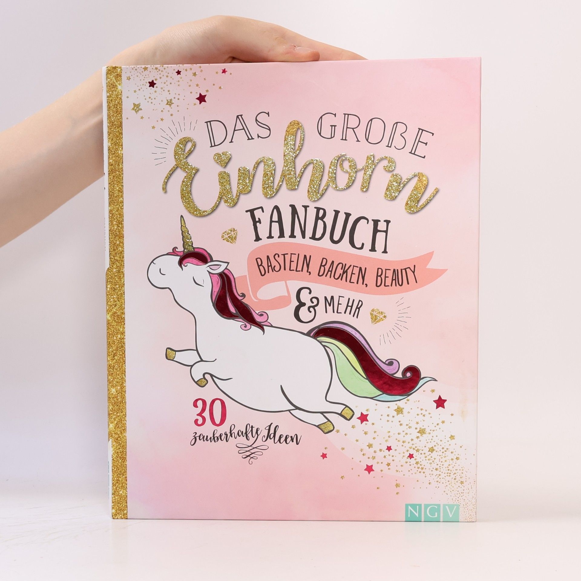 Auteurscollectief Das Große Einhorn Fanbuch