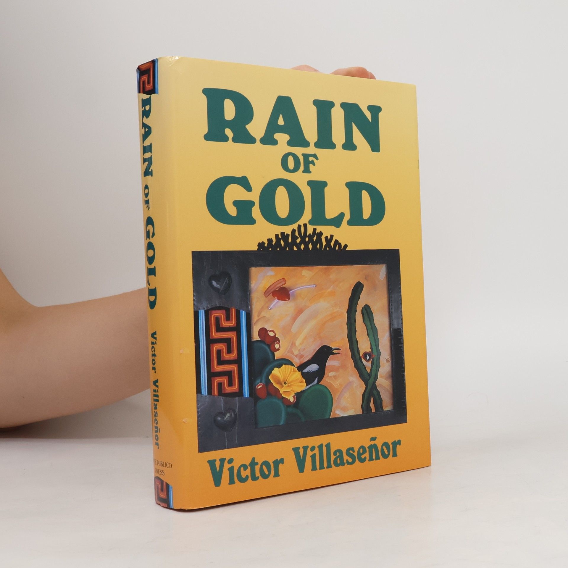 Victor Villaseñor Rain of Gold