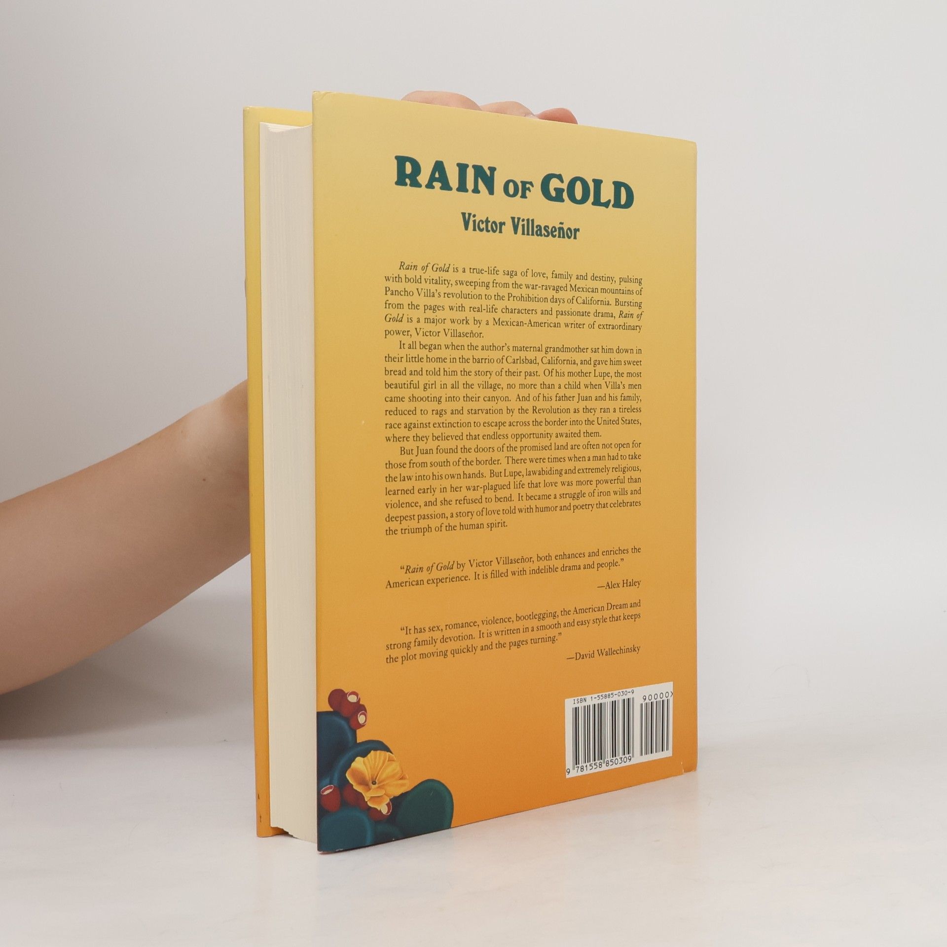 Victor Villaseñor Rain of Gold