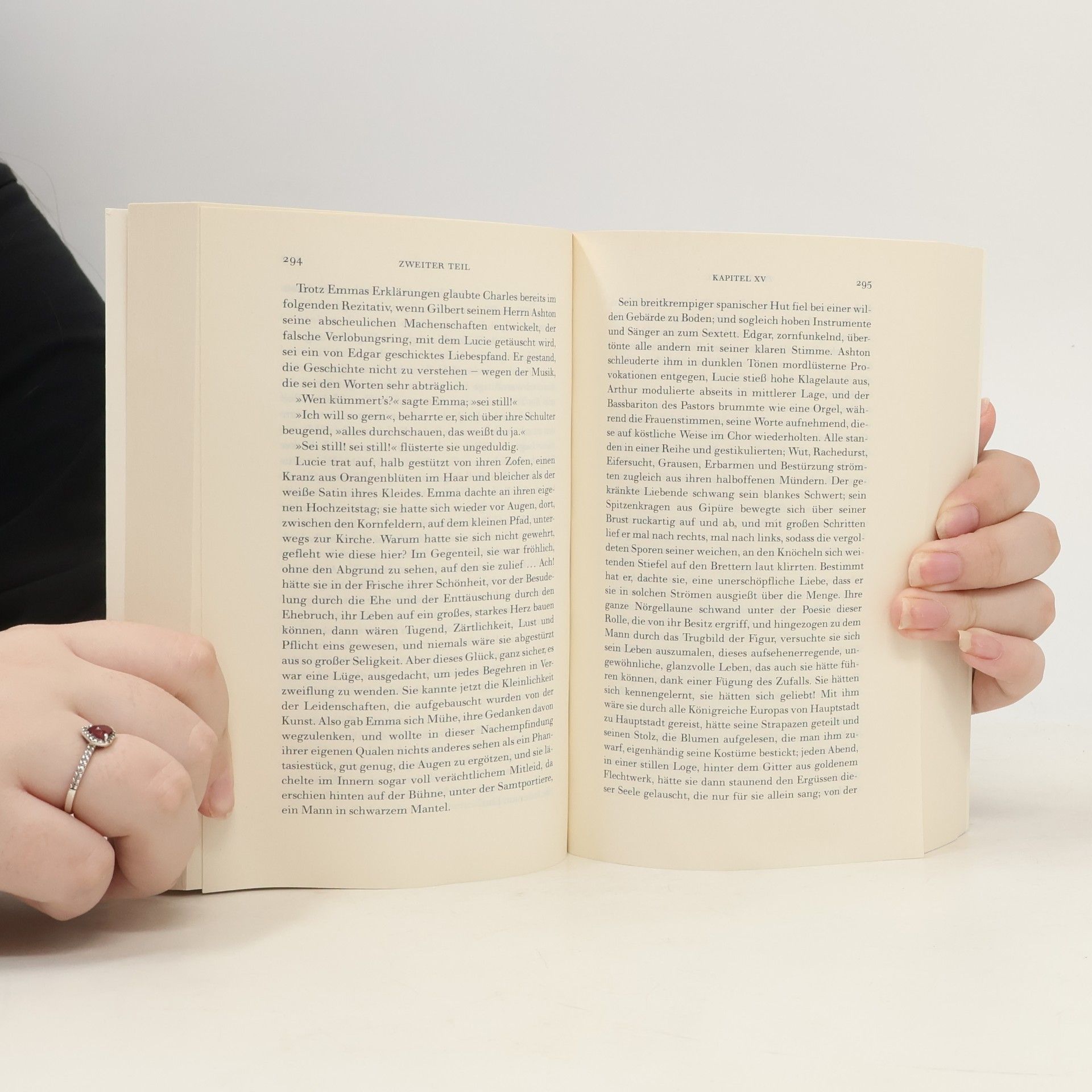 Gustave Flaubert Madame Bovary