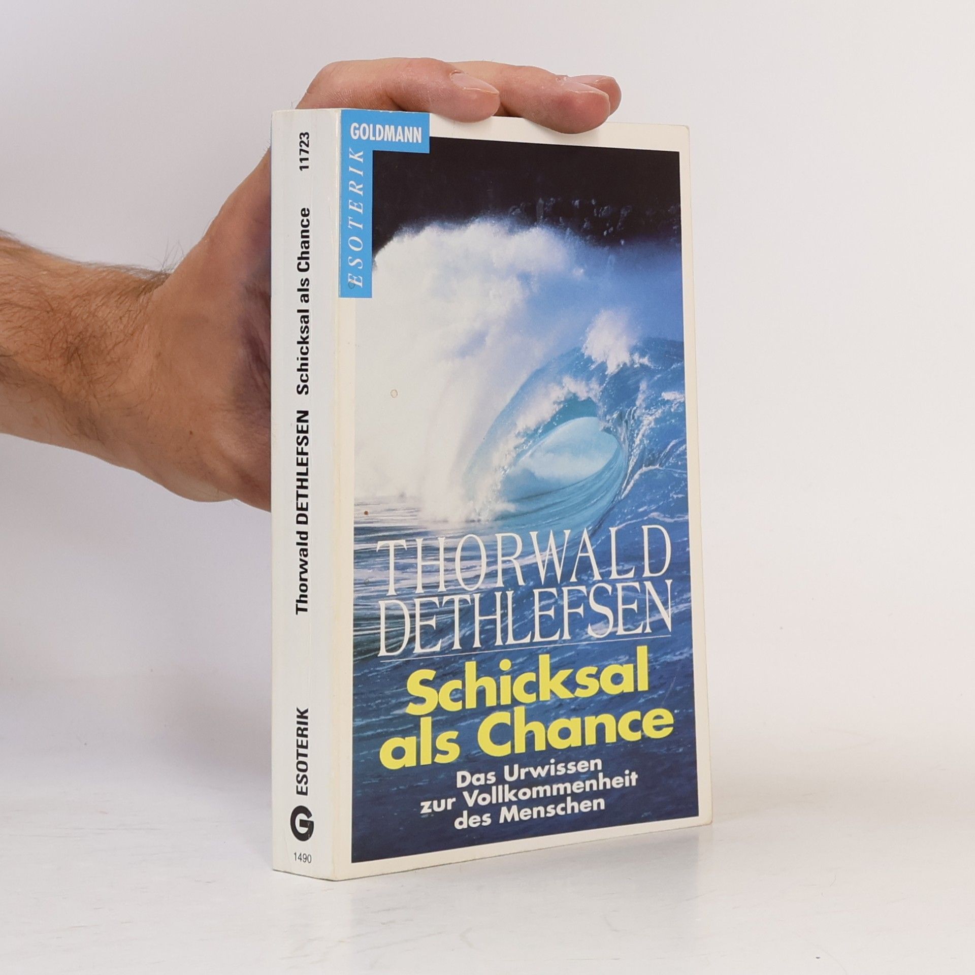 Thorwald Dethlefsen Schicksal als Chance
