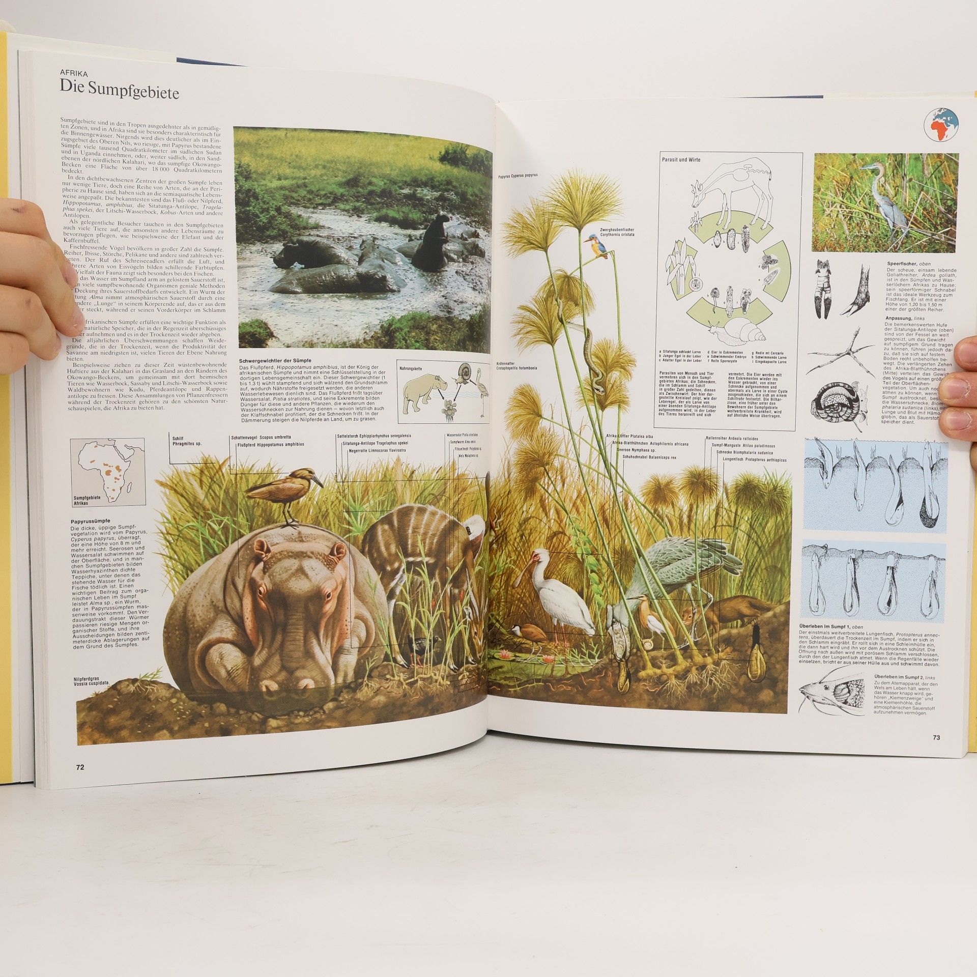 Kolektív autorov Grosser Atlas des Tierlebens
