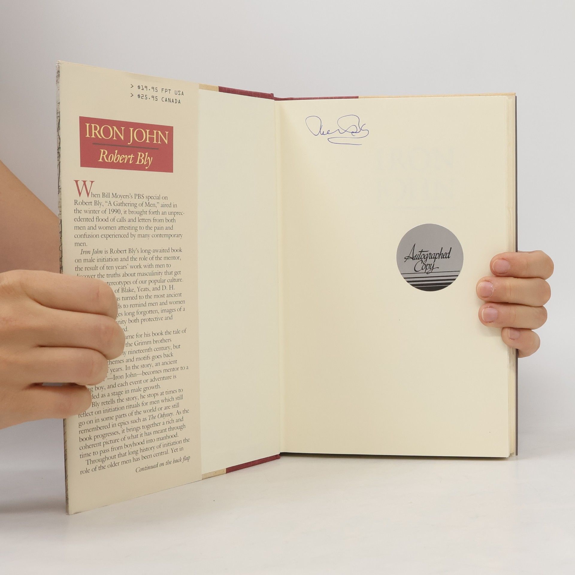 Robert W Bly Iron John