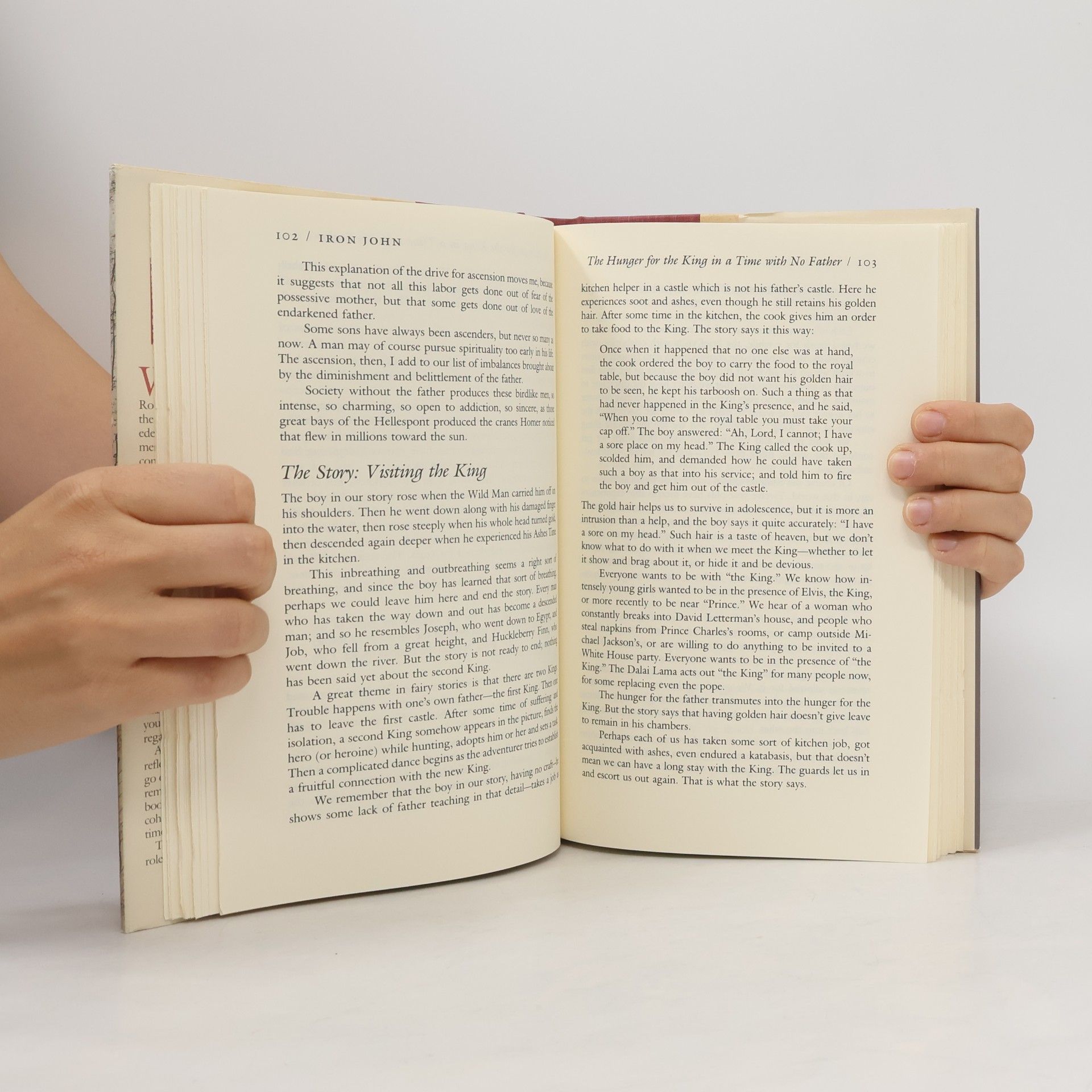 Robert W Bly Iron John