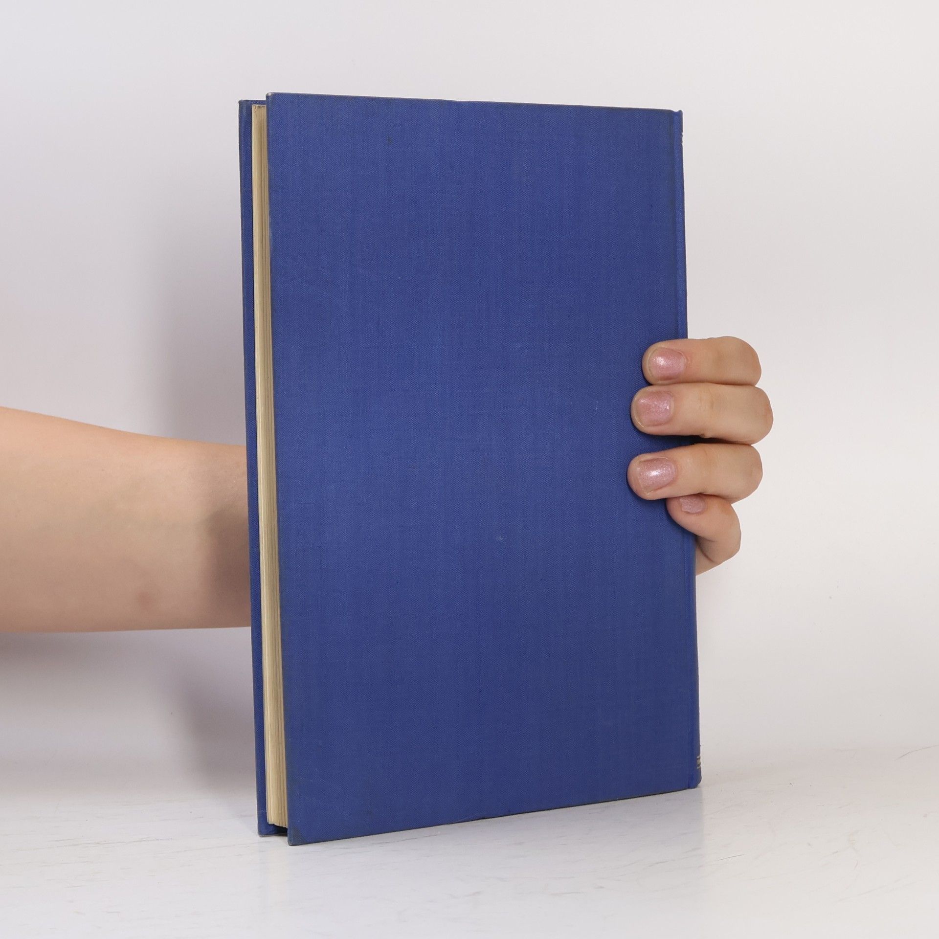 Andrej Mráz Die Literatur der Slowaken