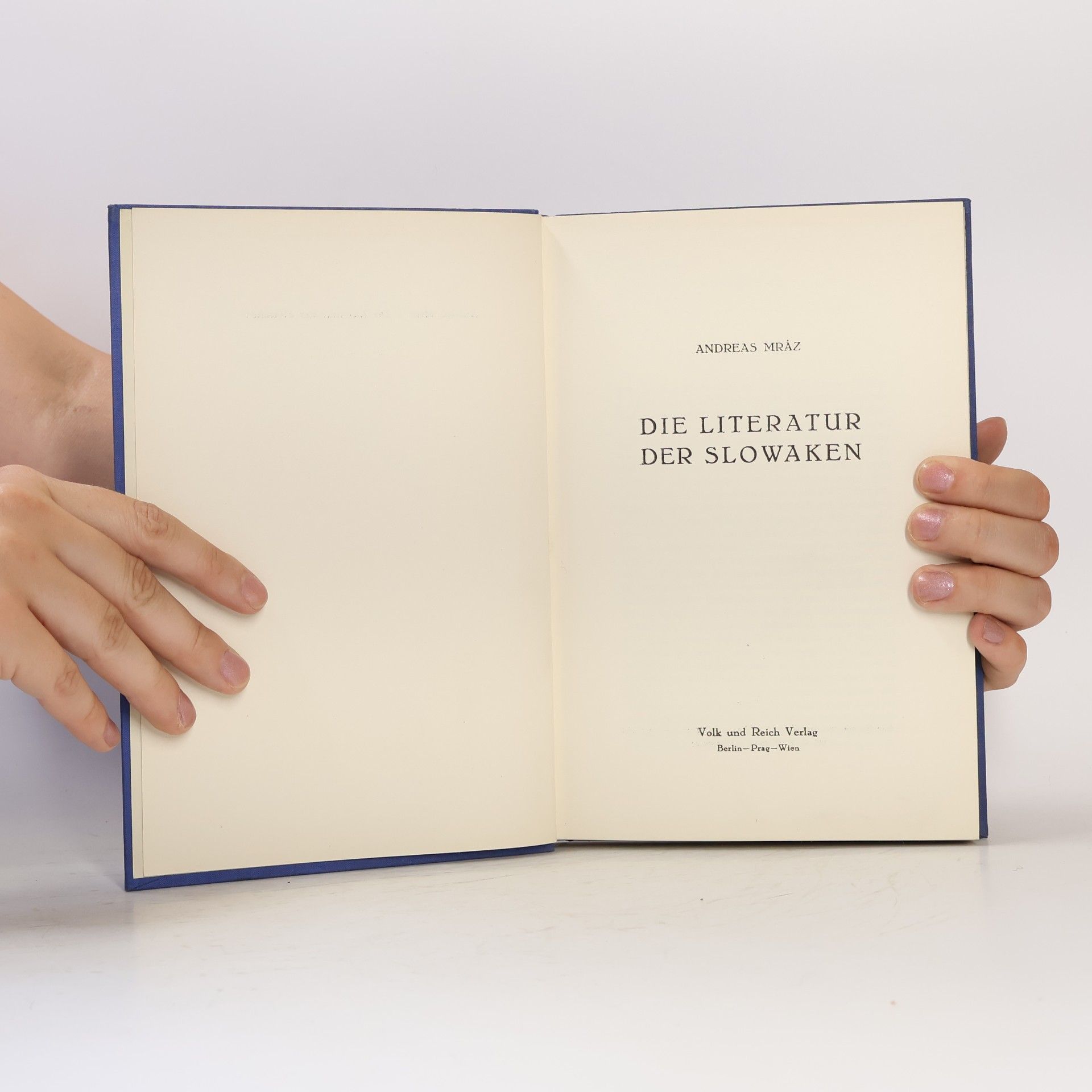 Andrej Mráz Die Literatur der Slowaken