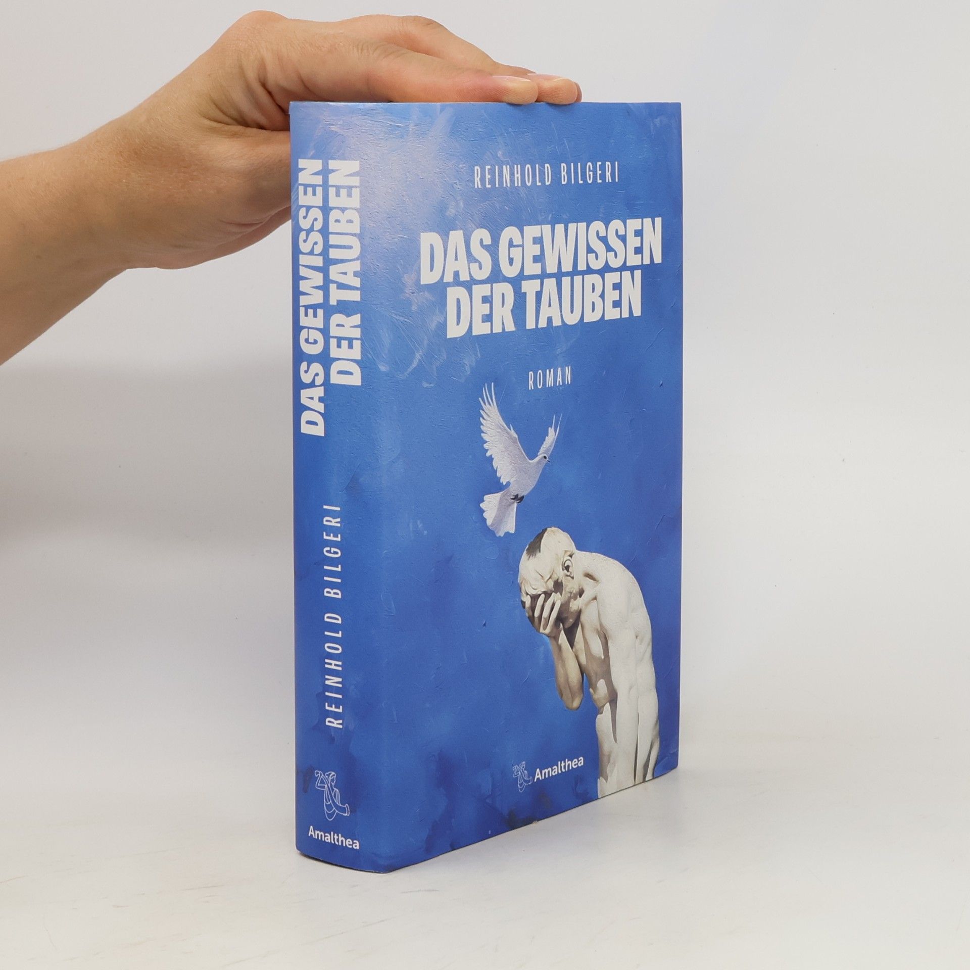 Reinhold Bilgeri Das Gewissen der Tauben