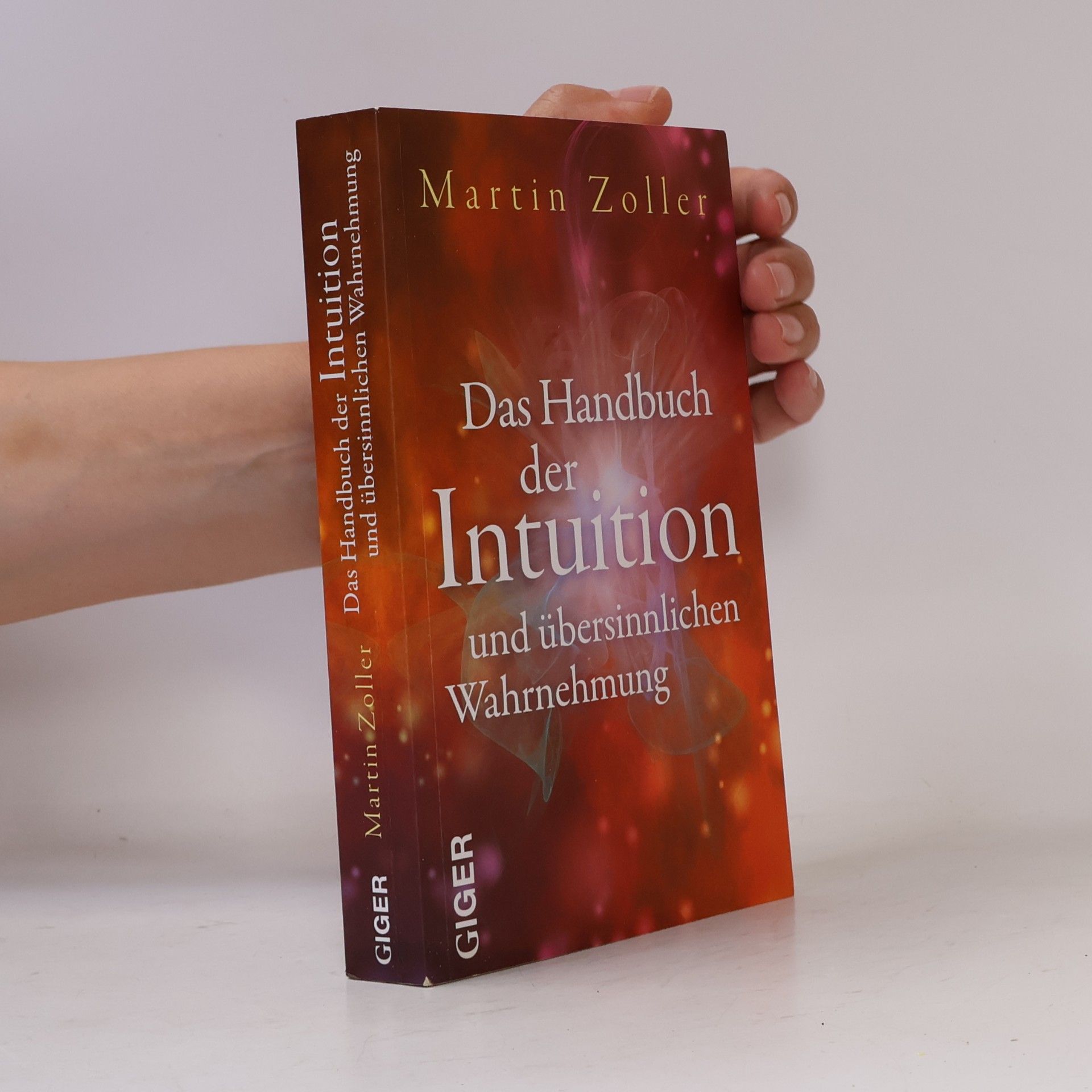 Martin Zoller Das Handbuch der Intuition und übersinnliche Wahrnehmung