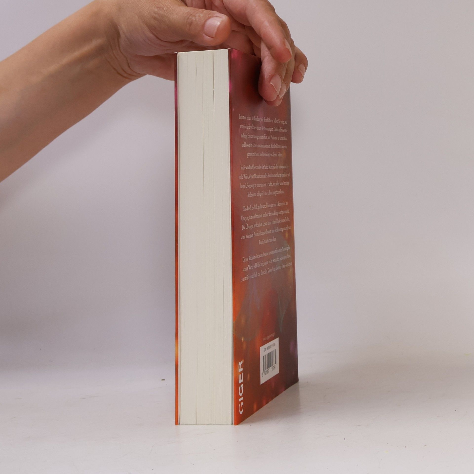Martin Zoller Das Handbuch der Intuition und übersinnliche Wahrnehmung