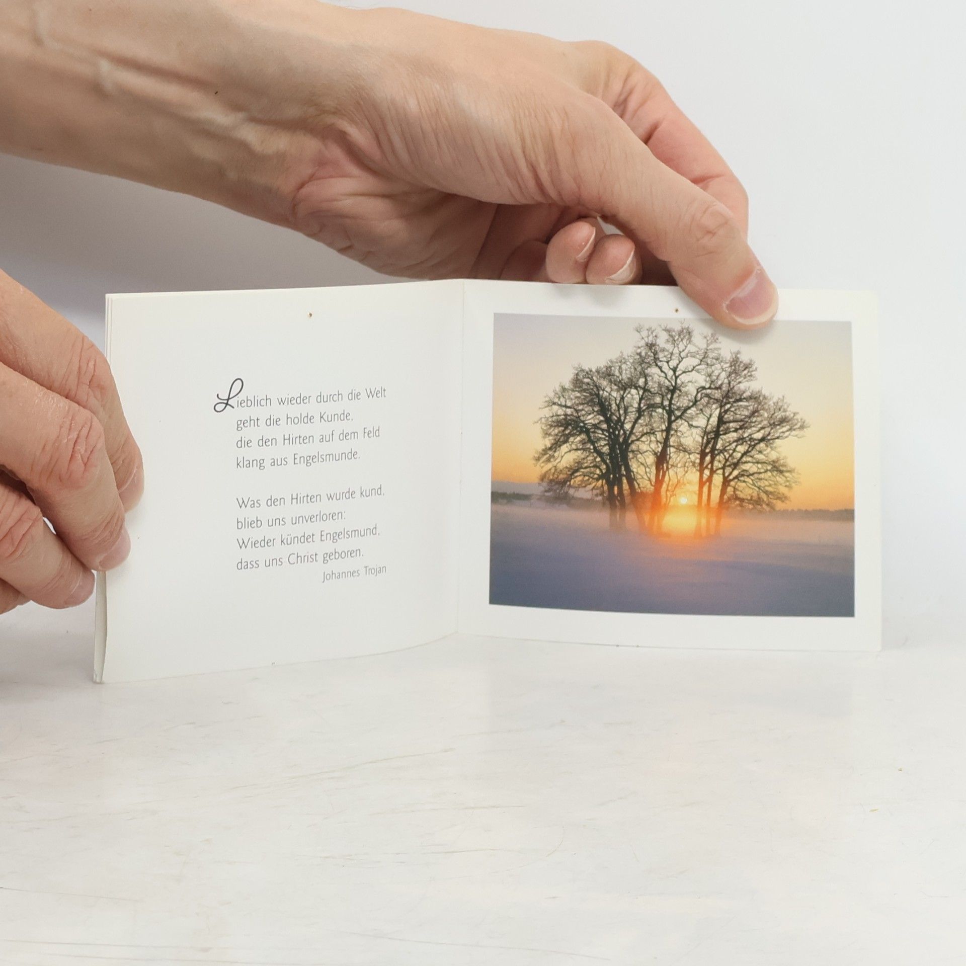 Für ein friedvolles Weihnachtsfest