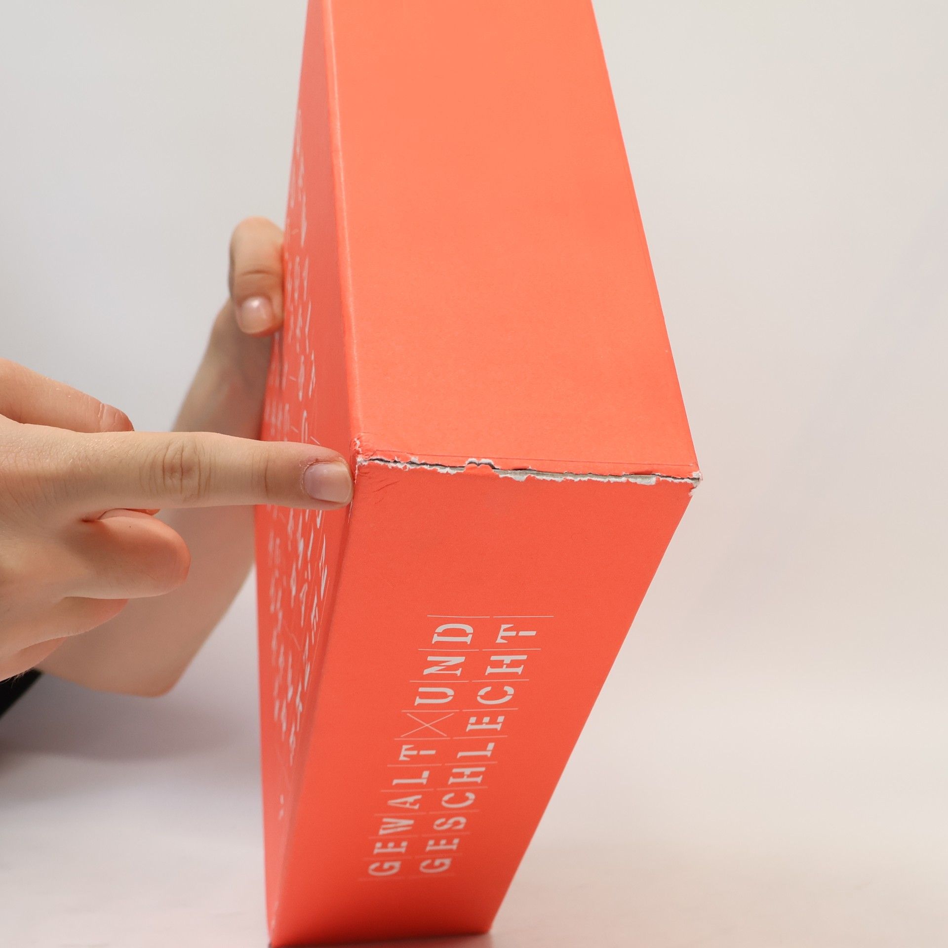 Gorch Pieken Gewalt und Geschlecht. Katalog + Essays