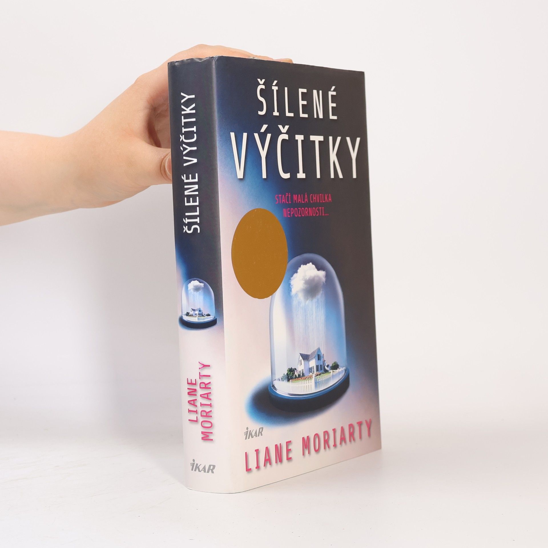 Liane Moriarty Šílené výčitky