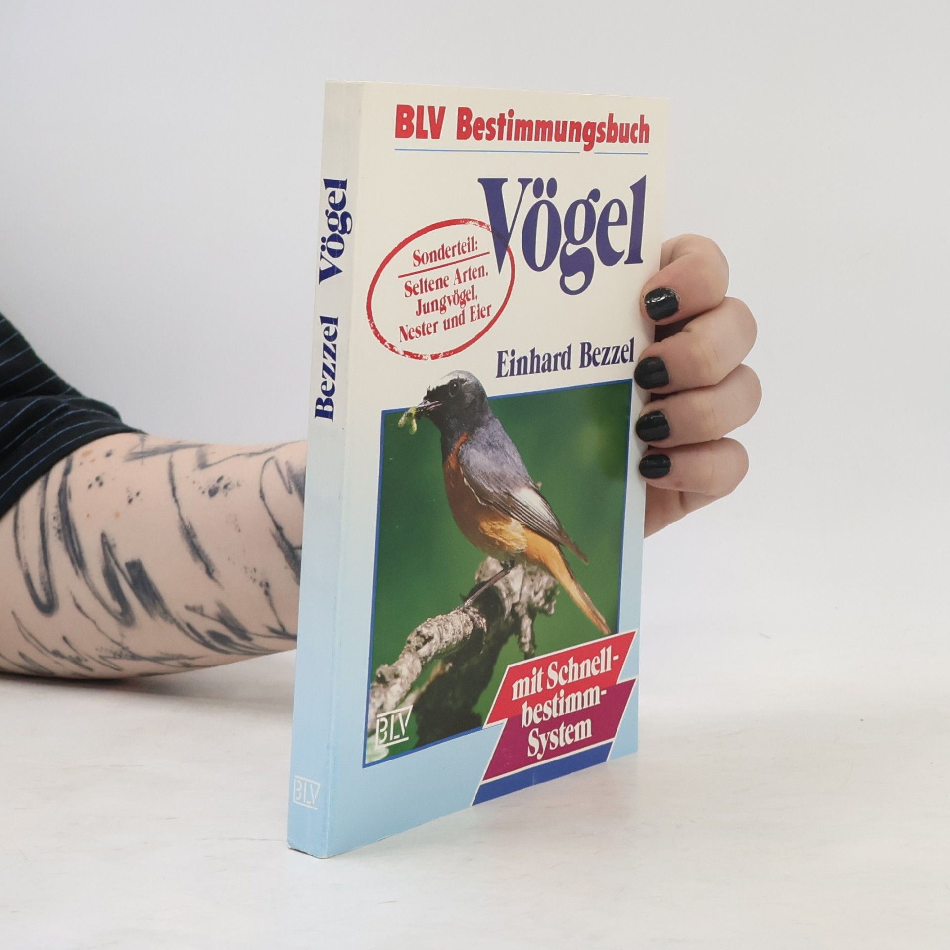 Vögel