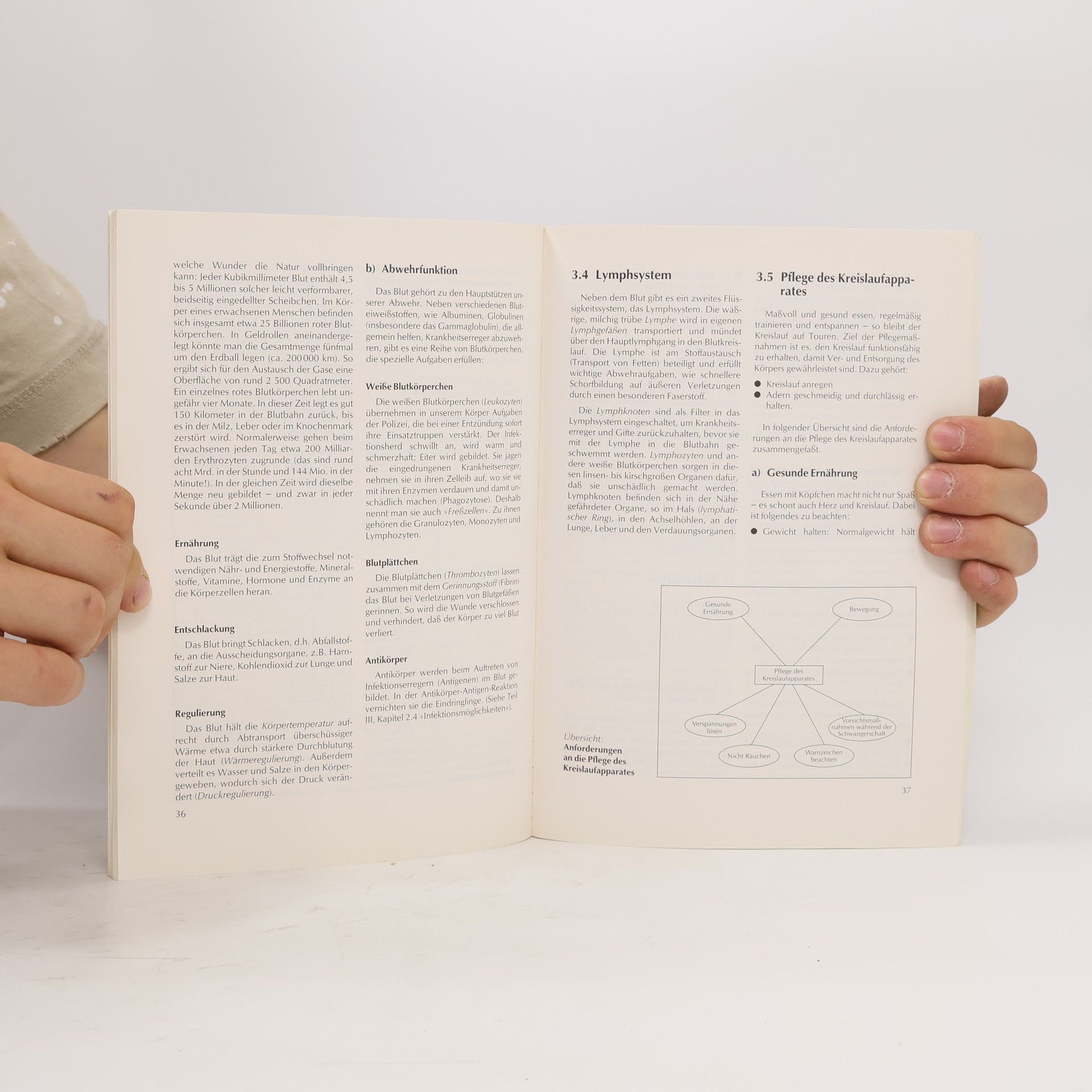 Andrea Kneip-Bauckholt Erfolgsbuch Hygiene