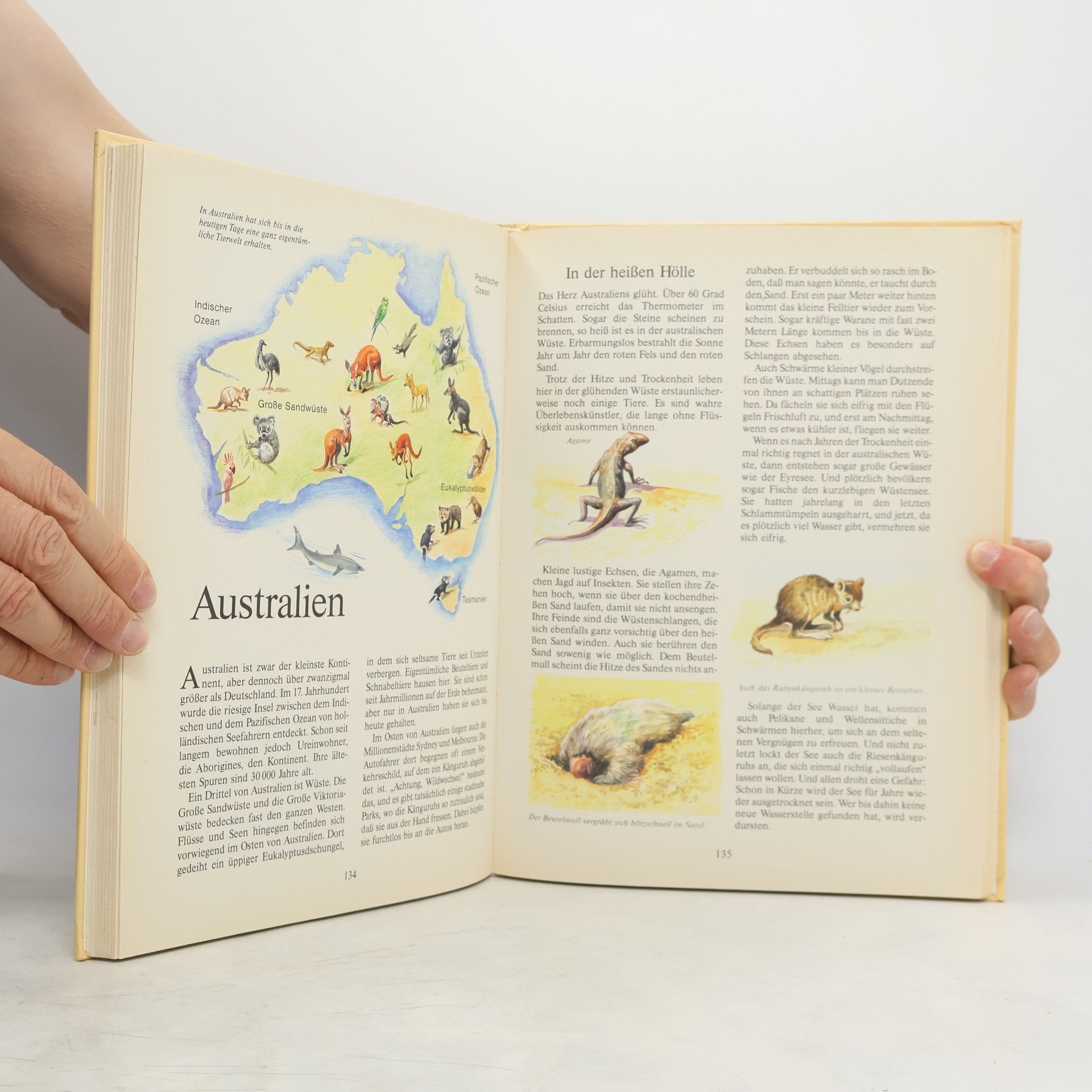 Margot Hellmiß Das grosse Buch der Tiere